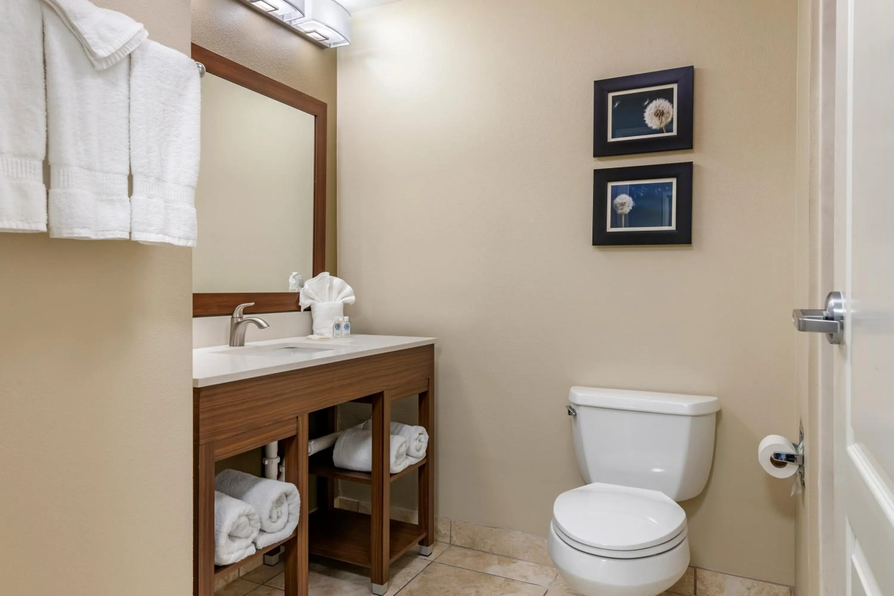 Toilet in Comfort Inn & Suites Tifton
