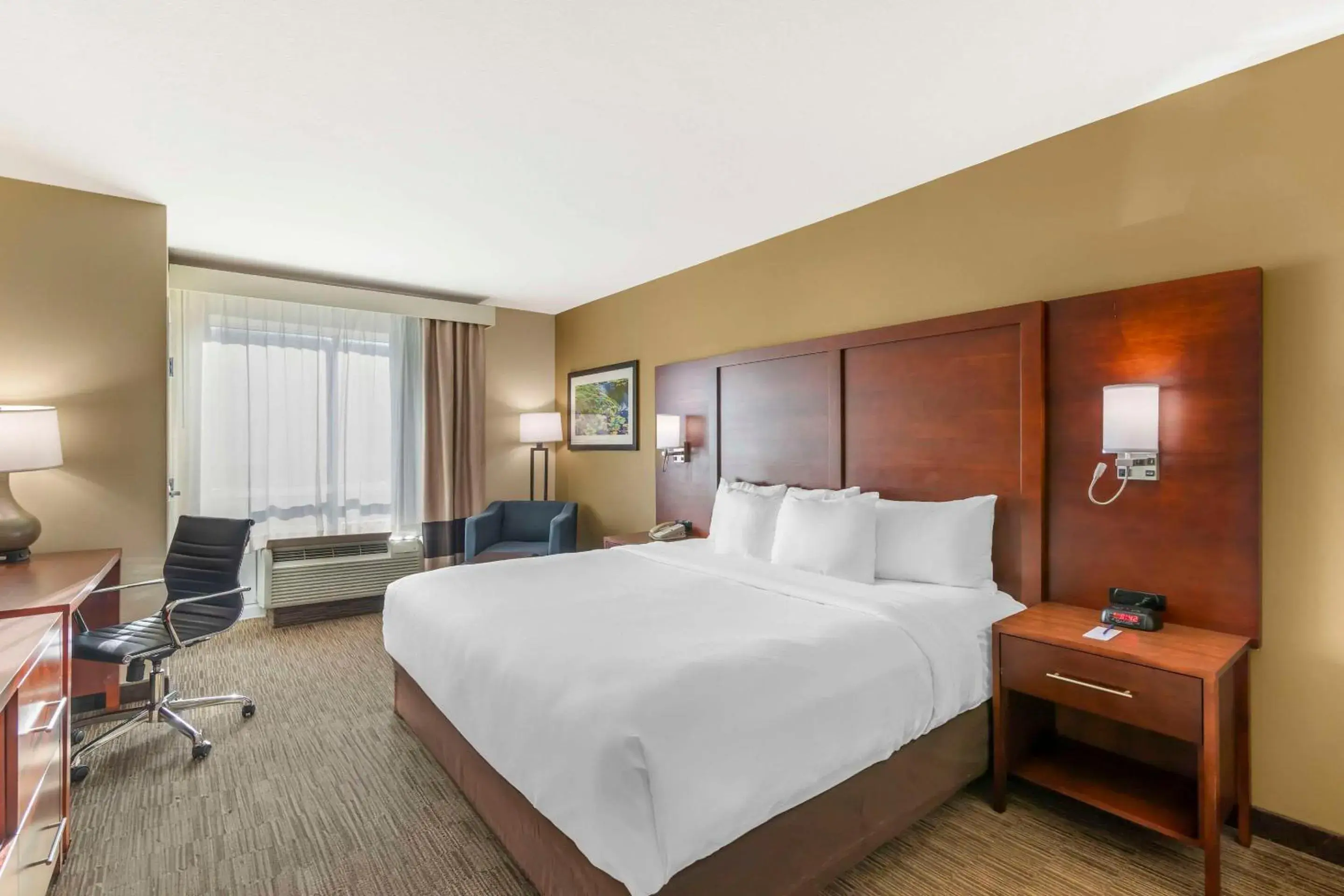 King Room - Non-Smoking in Comfort Inn & Suites King Room - Non-Smoking in Comfort Inn & Suites