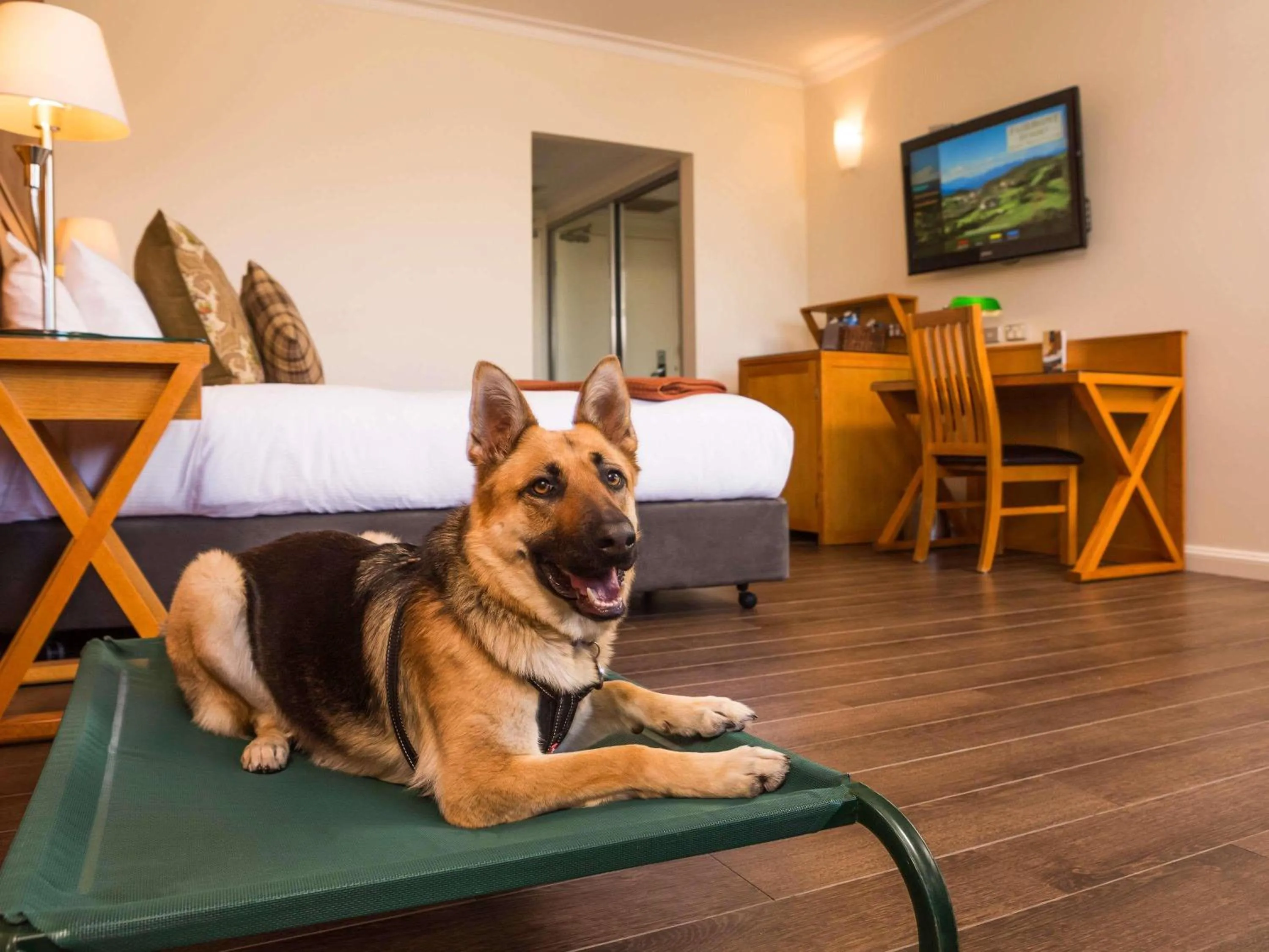 Bedroom in Fairmont Resort Blue Mountains MGallery Collection