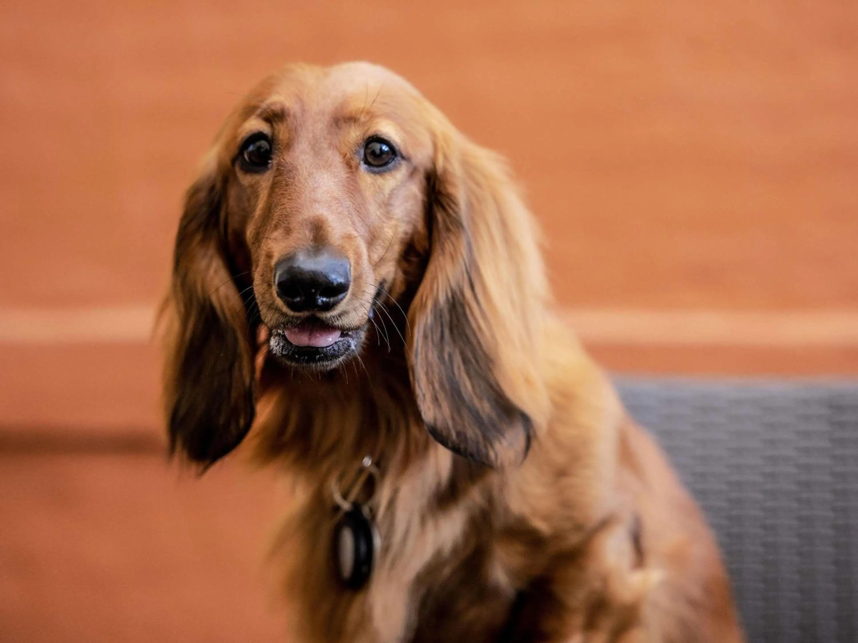 Bedroom in Fairmont Resort Blue Mountains MGallery Collection