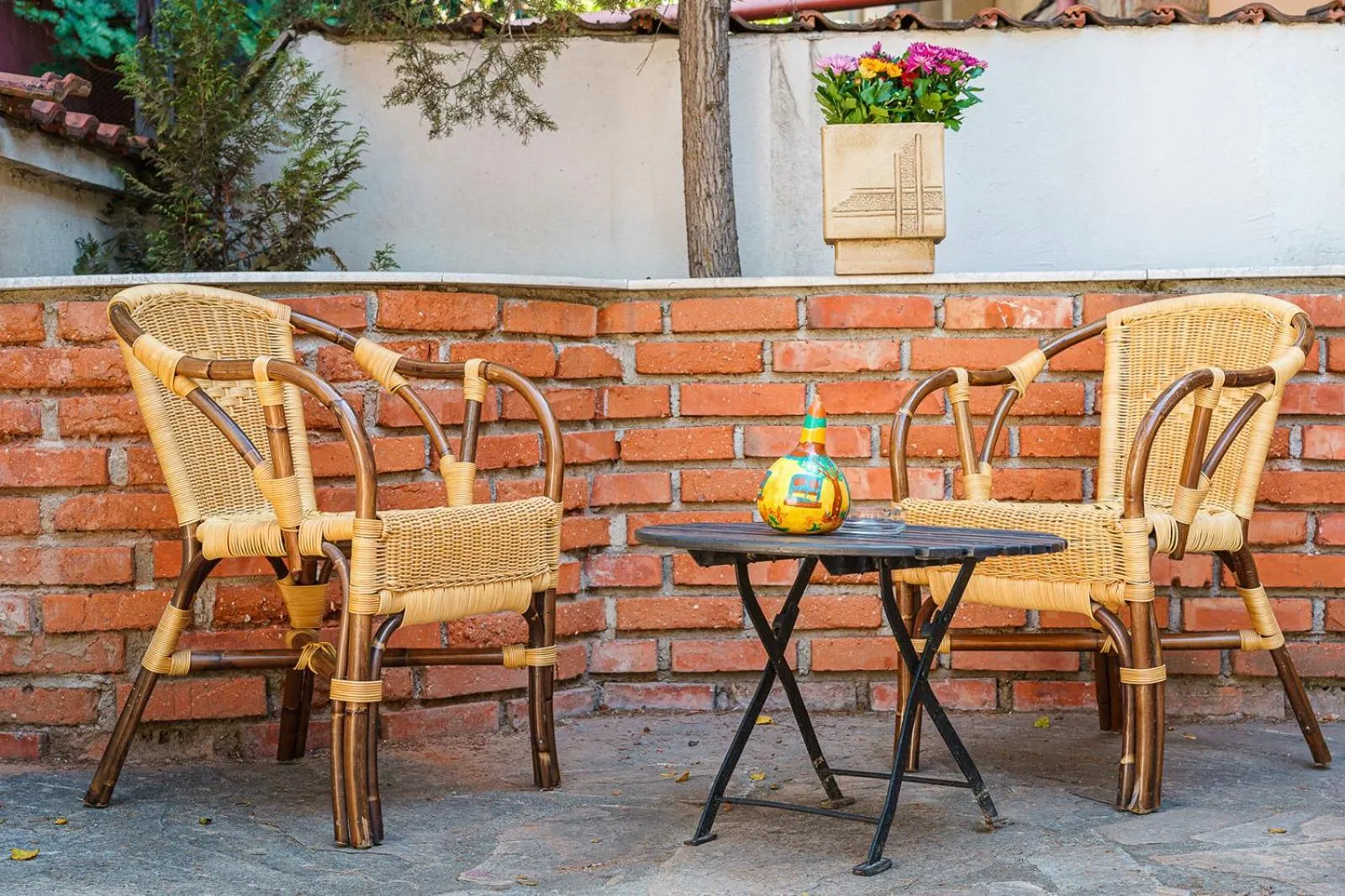 Garden in Hotel Avion - Self check in