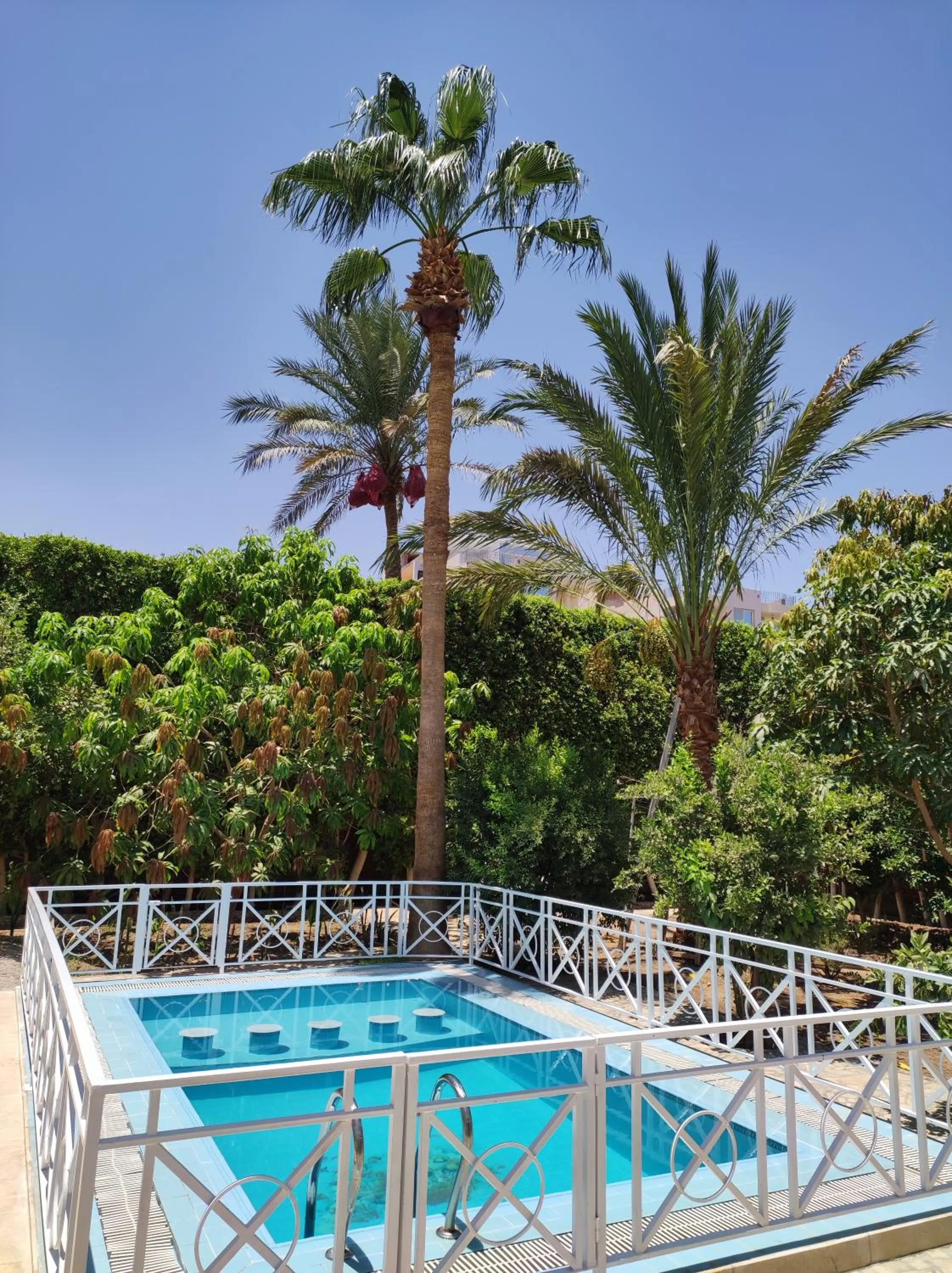 Swimming pool in Villa Rayan