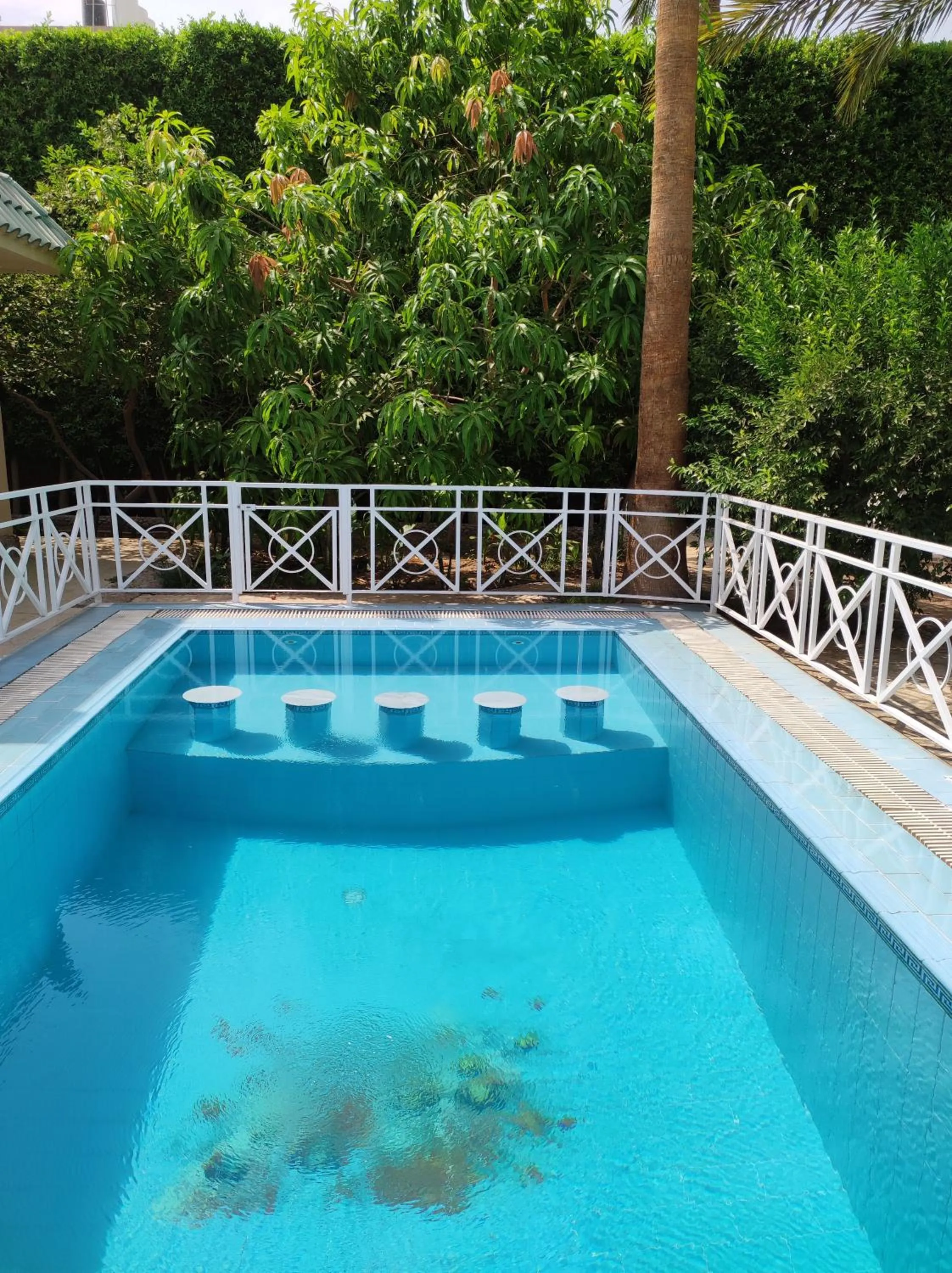 Swimming pool in Villa Rayan