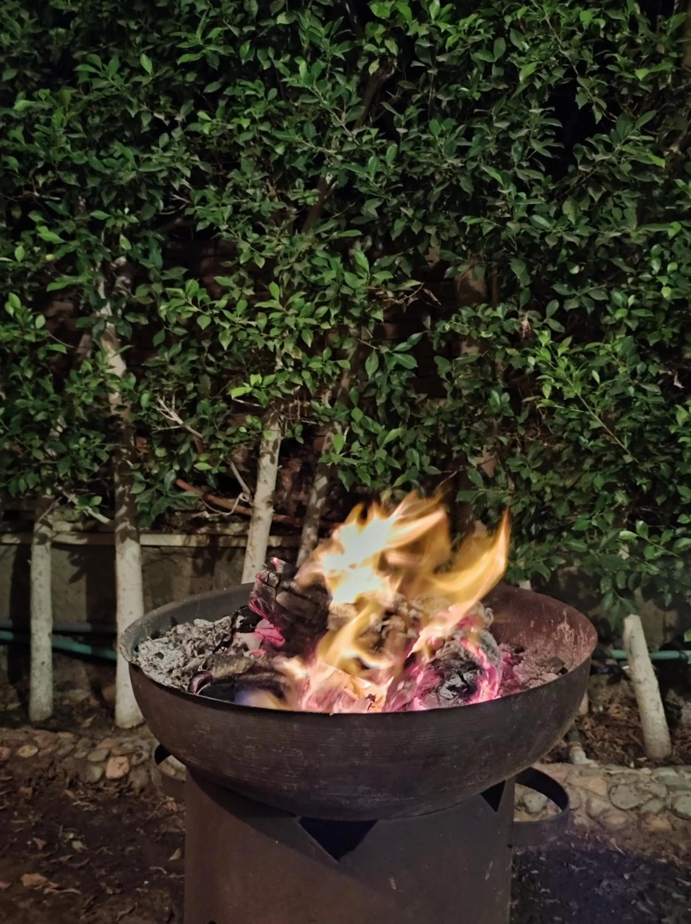 BBQ facilities in Villa Rayan