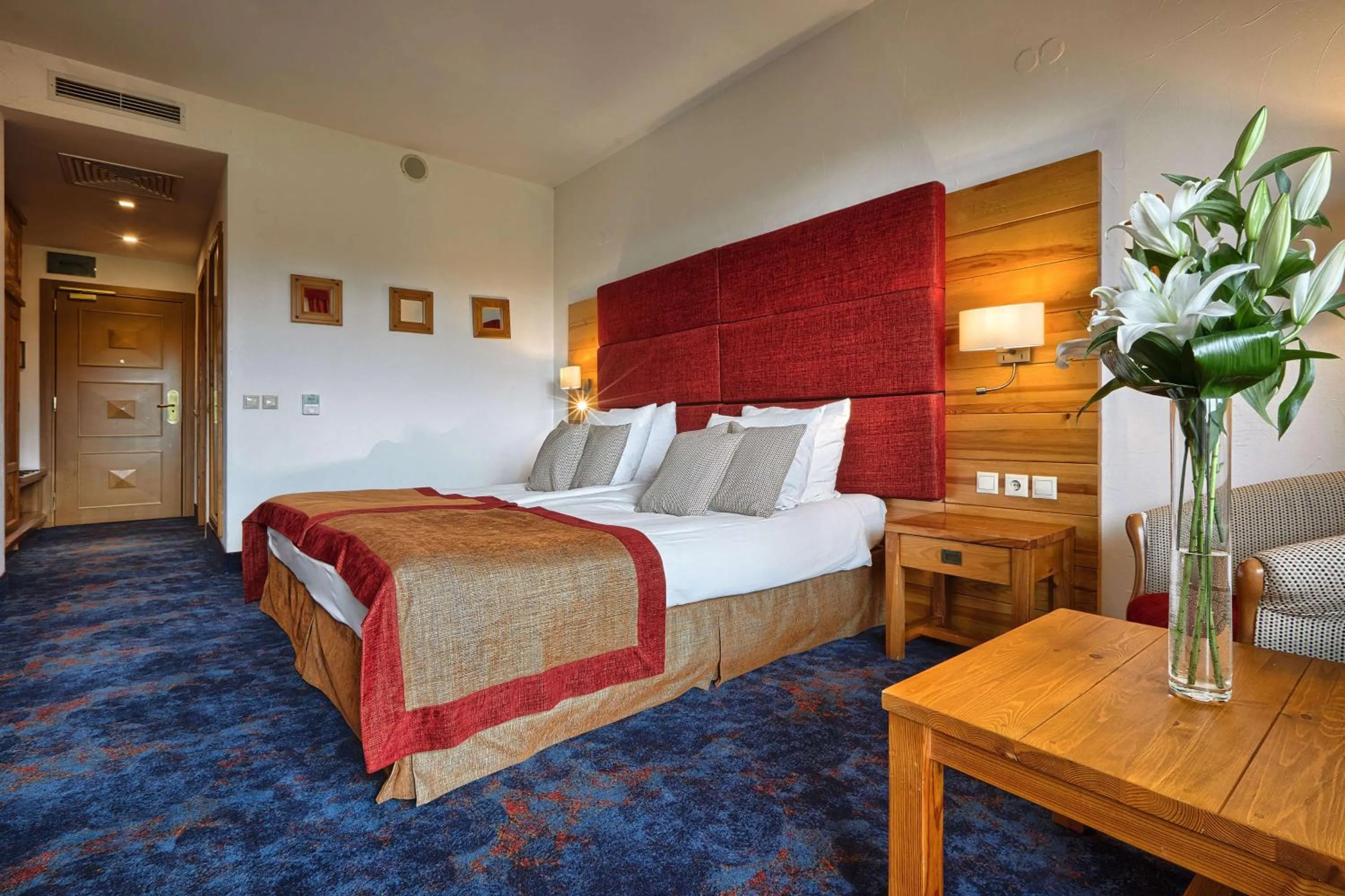 Deluxe Room Mountain View with King Bed - single occupancy in Kempinski Hotel Grand Arena Bansko