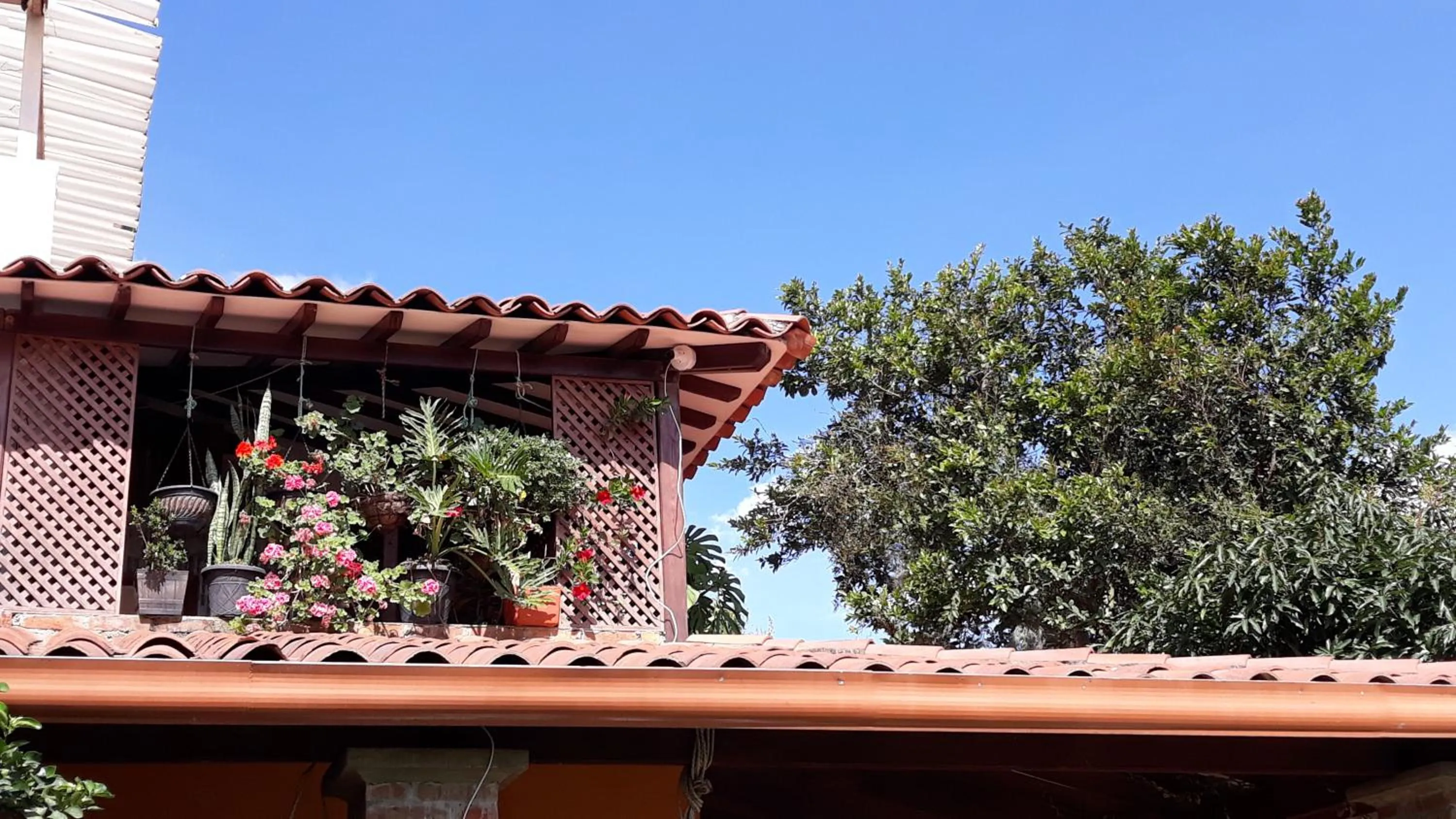 El Portal de Mariana