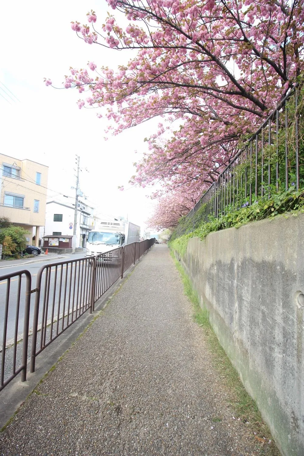 Neighbourhood in Kiyomori no Baika