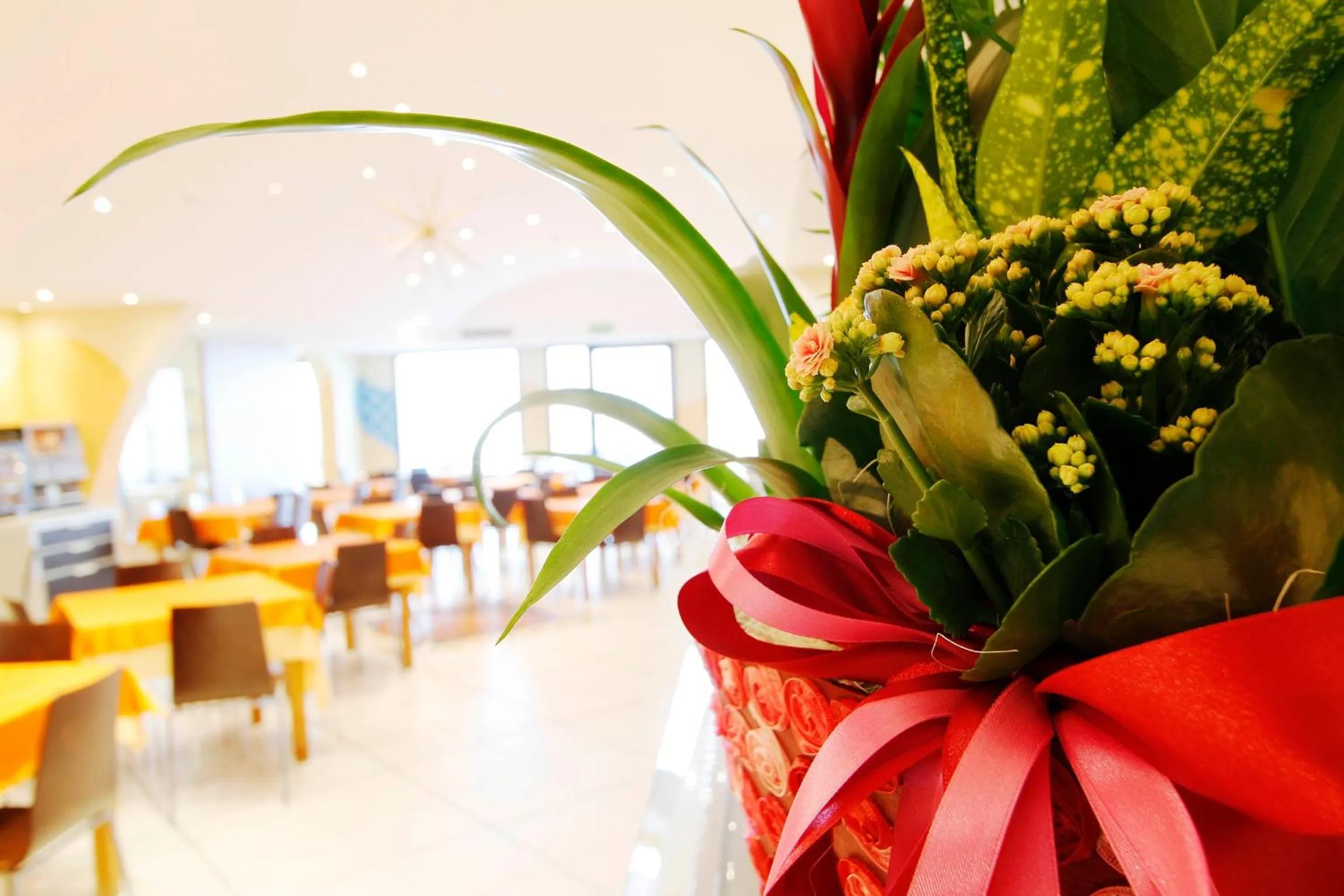 Restaurant/places to eat in Hotel Stella Maris