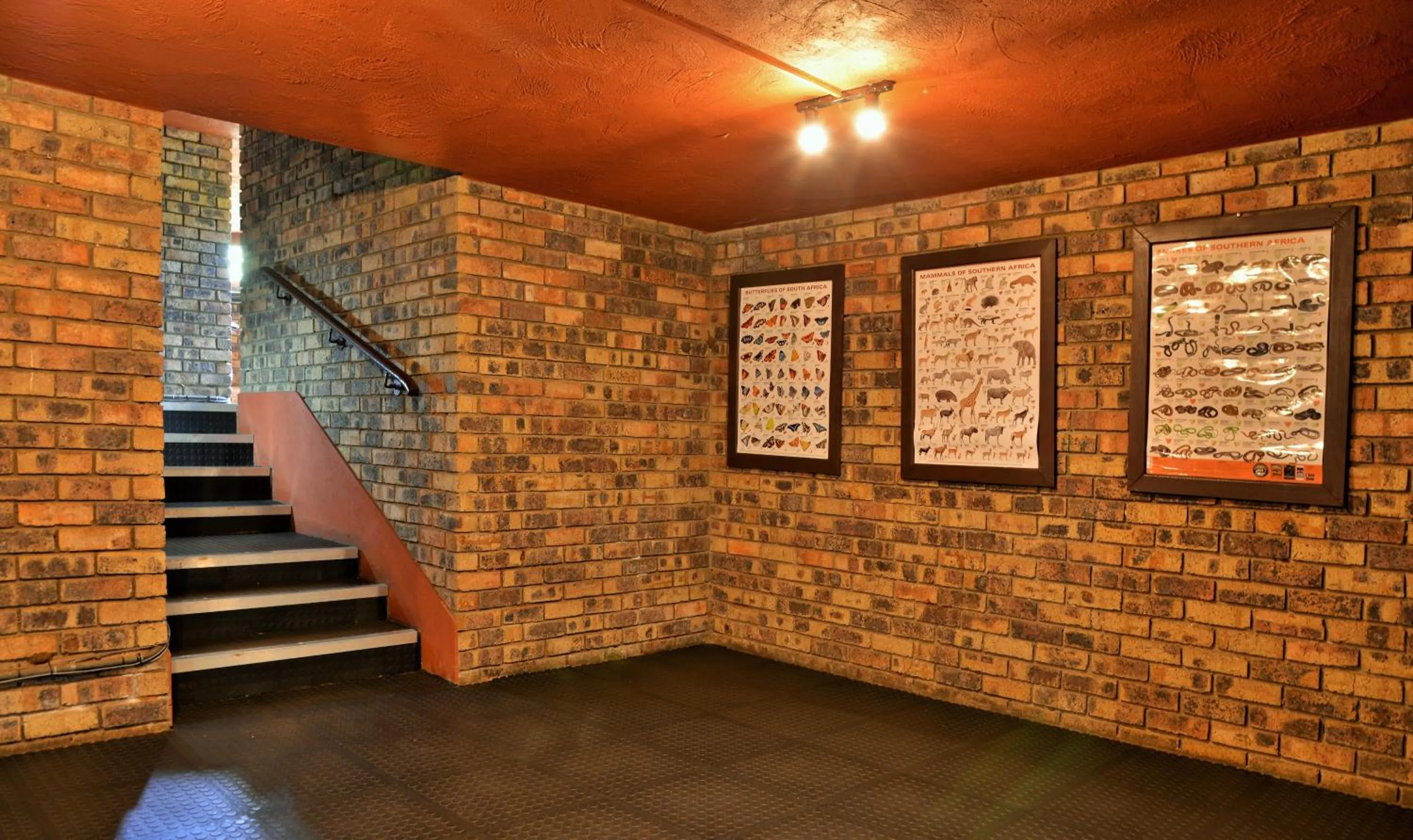 Activities in Kwa Maritane Lodge