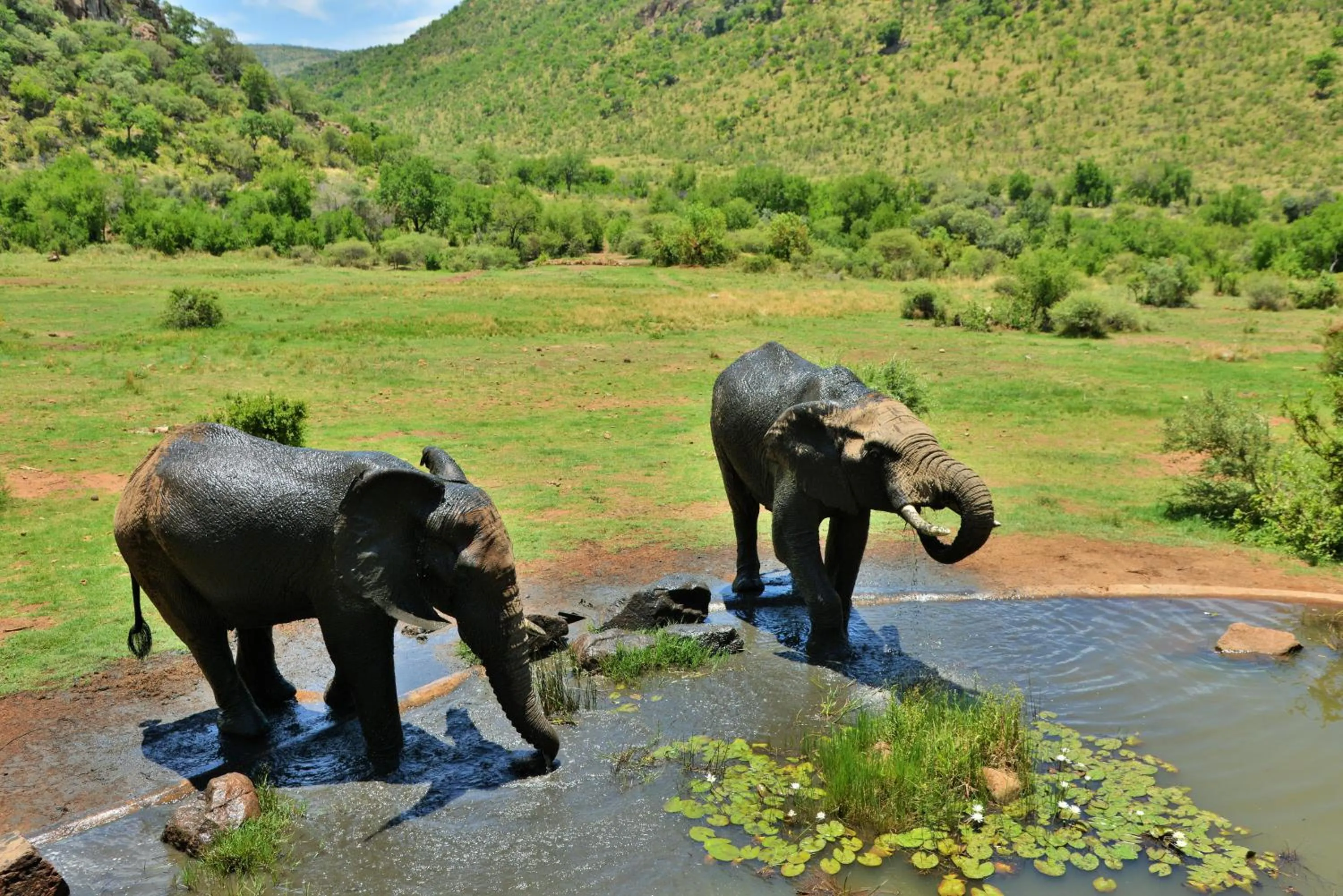 Natural landscape in Kwa Maritane Lodge
