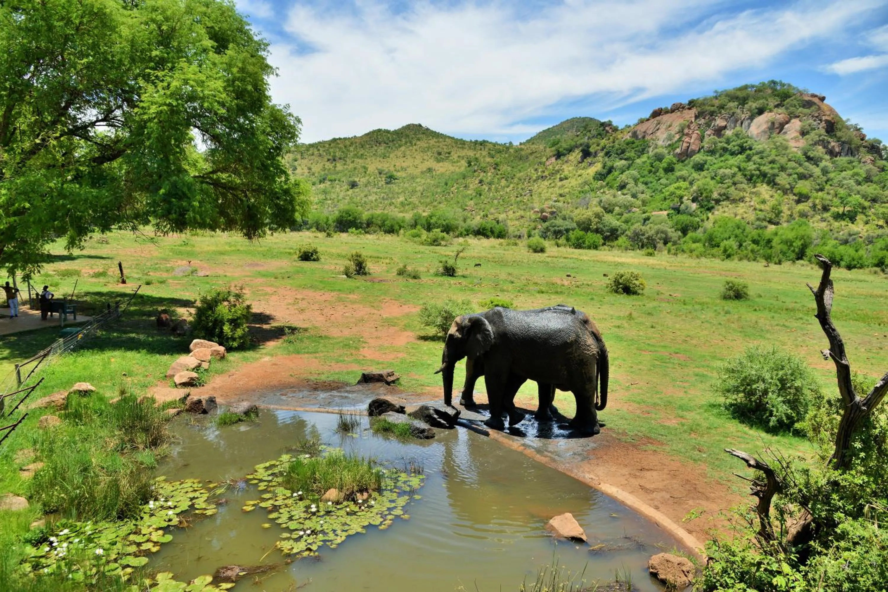 Natural landscape in Kwa Maritane Lodge
