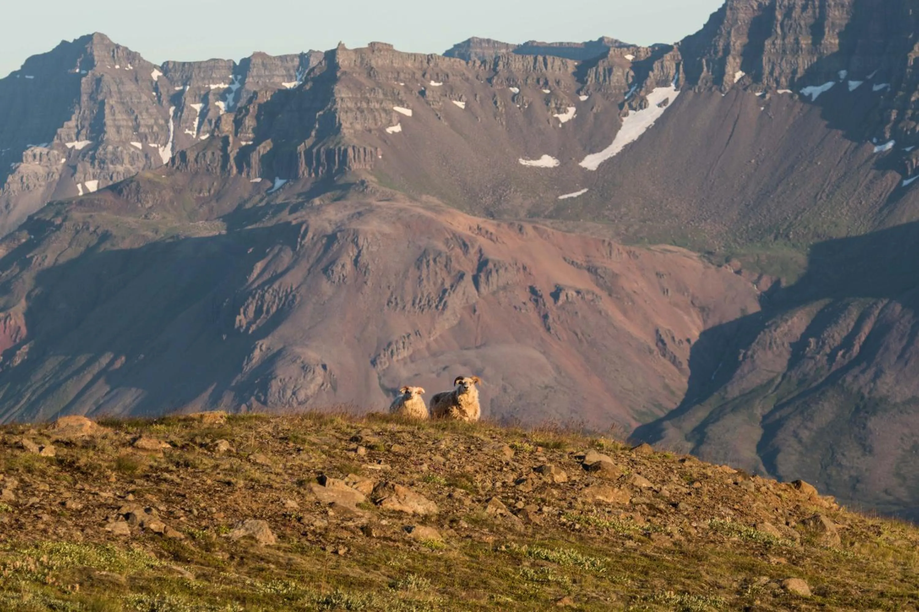 Off site in Mjóanes accommodation