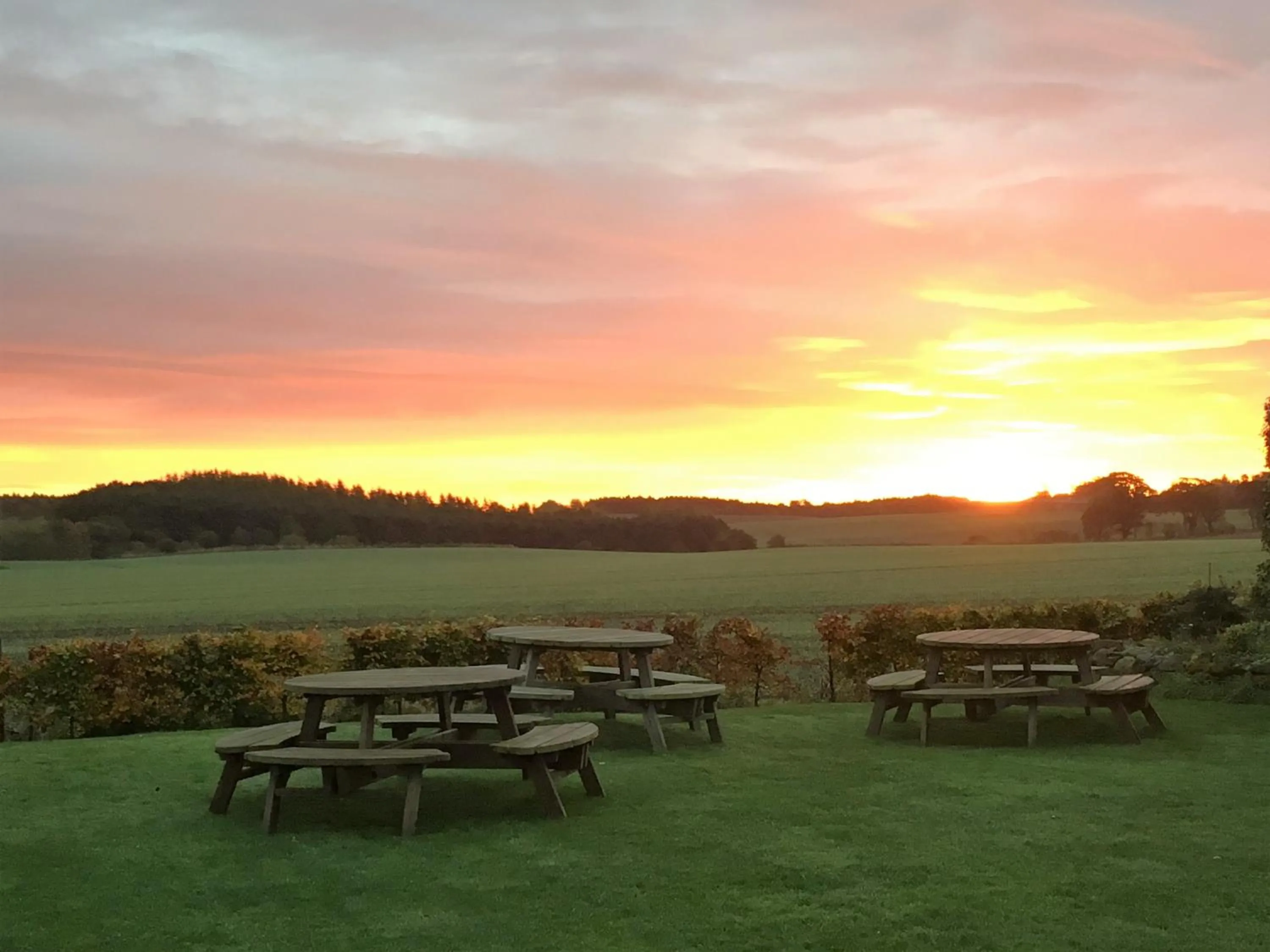 Garden in Allanton Inn