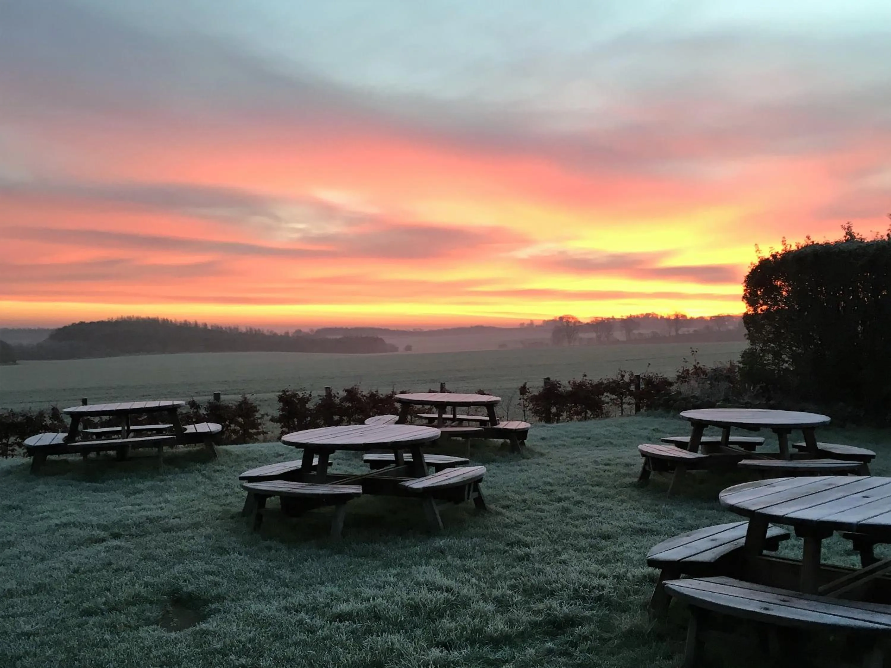 Garden in Allanton Inn