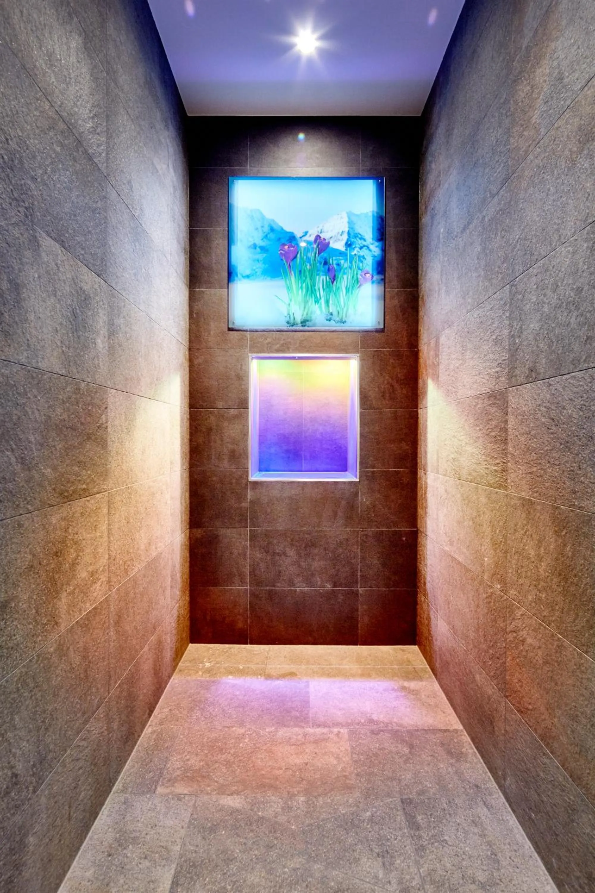 Other in Hotel & Apart Central