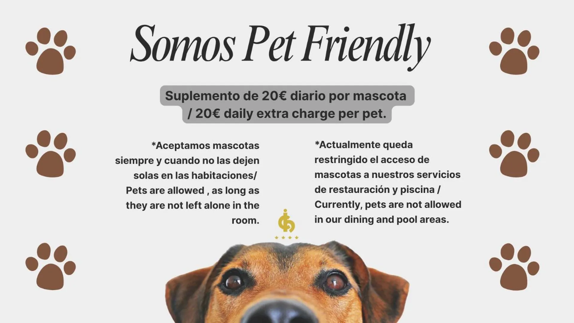 Pets in Hotel Condestable Iranzo