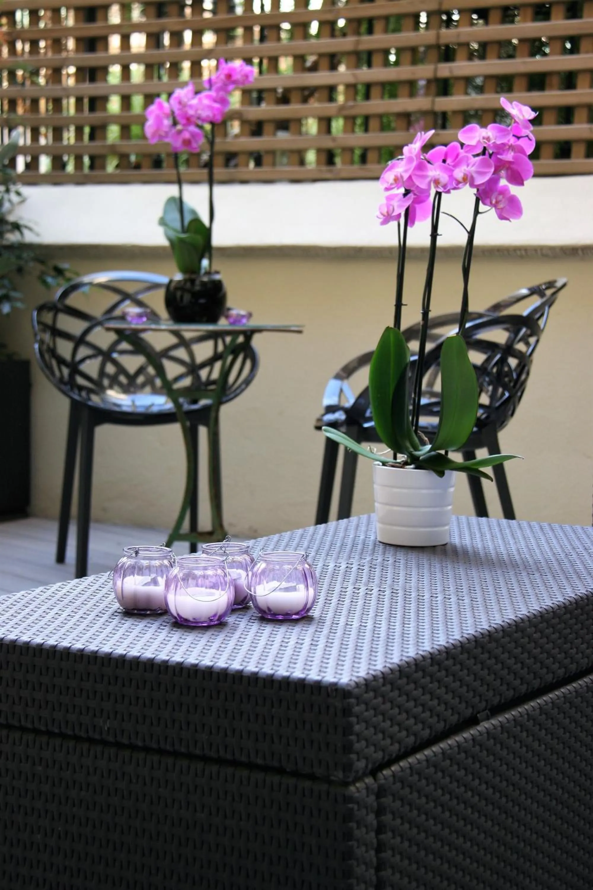 Garden in Anba Boutique