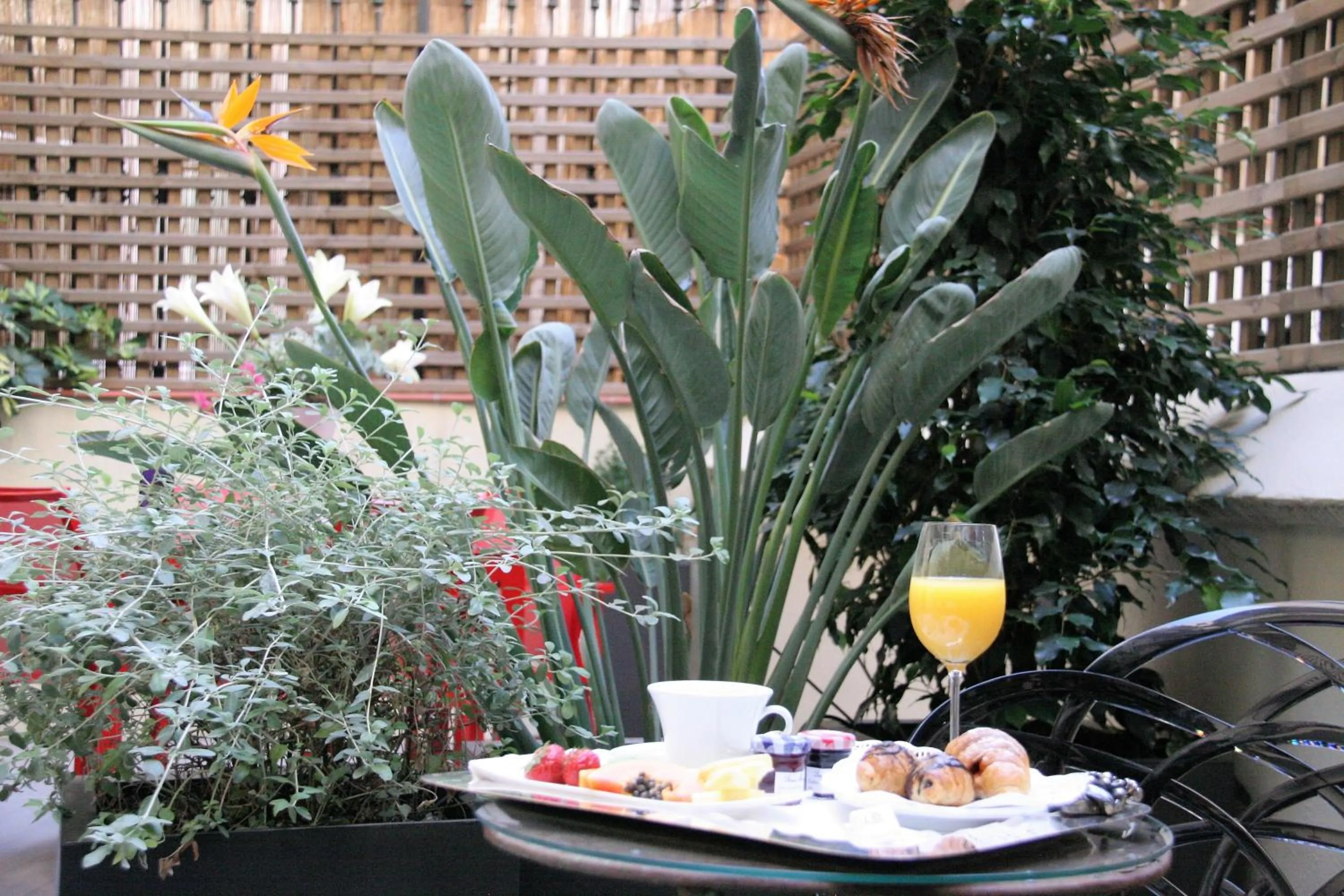 Garden in Anba Boutique