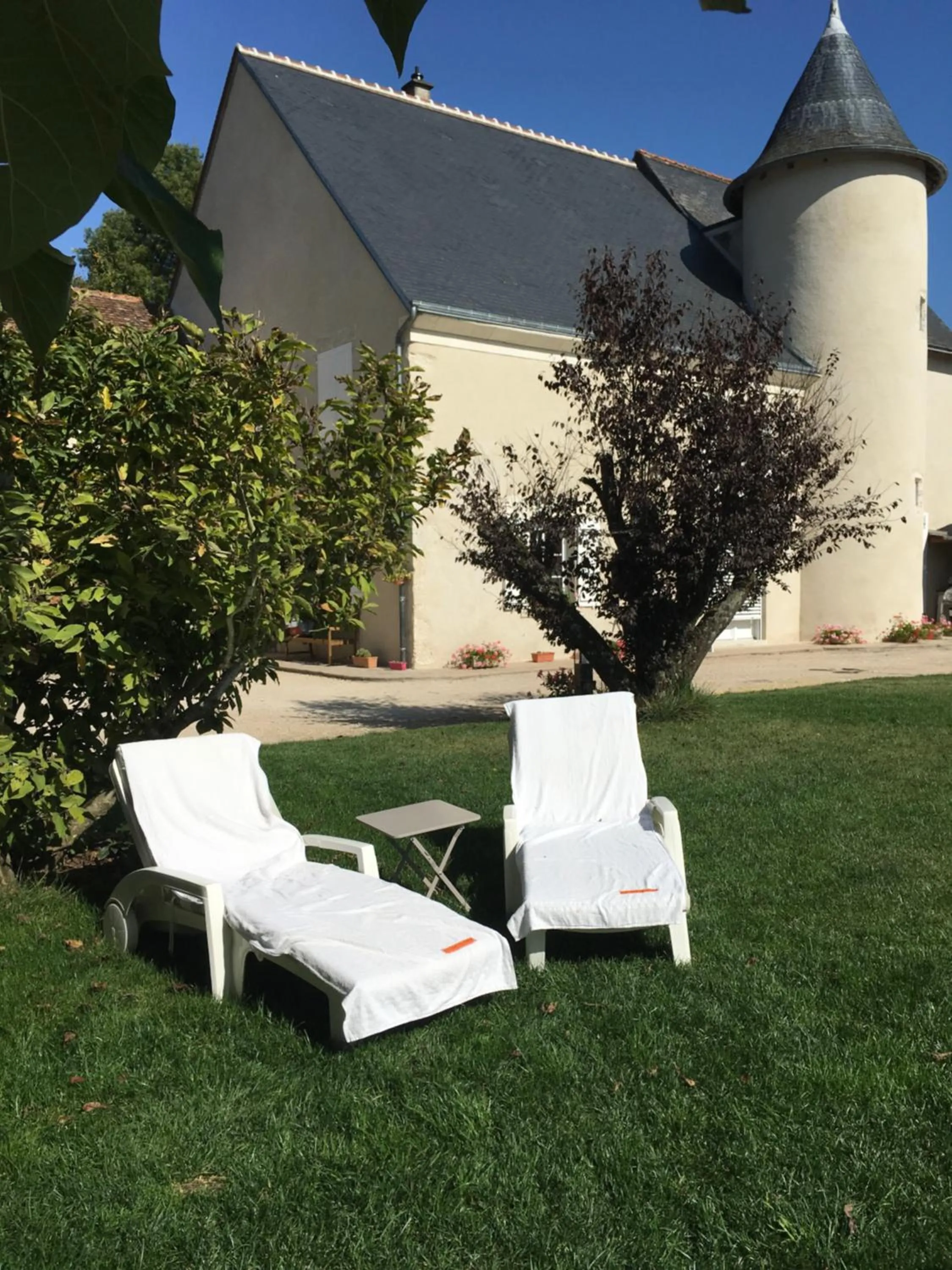 Garden in Manoir le Bout du Pont-Chambres d'Hôtes