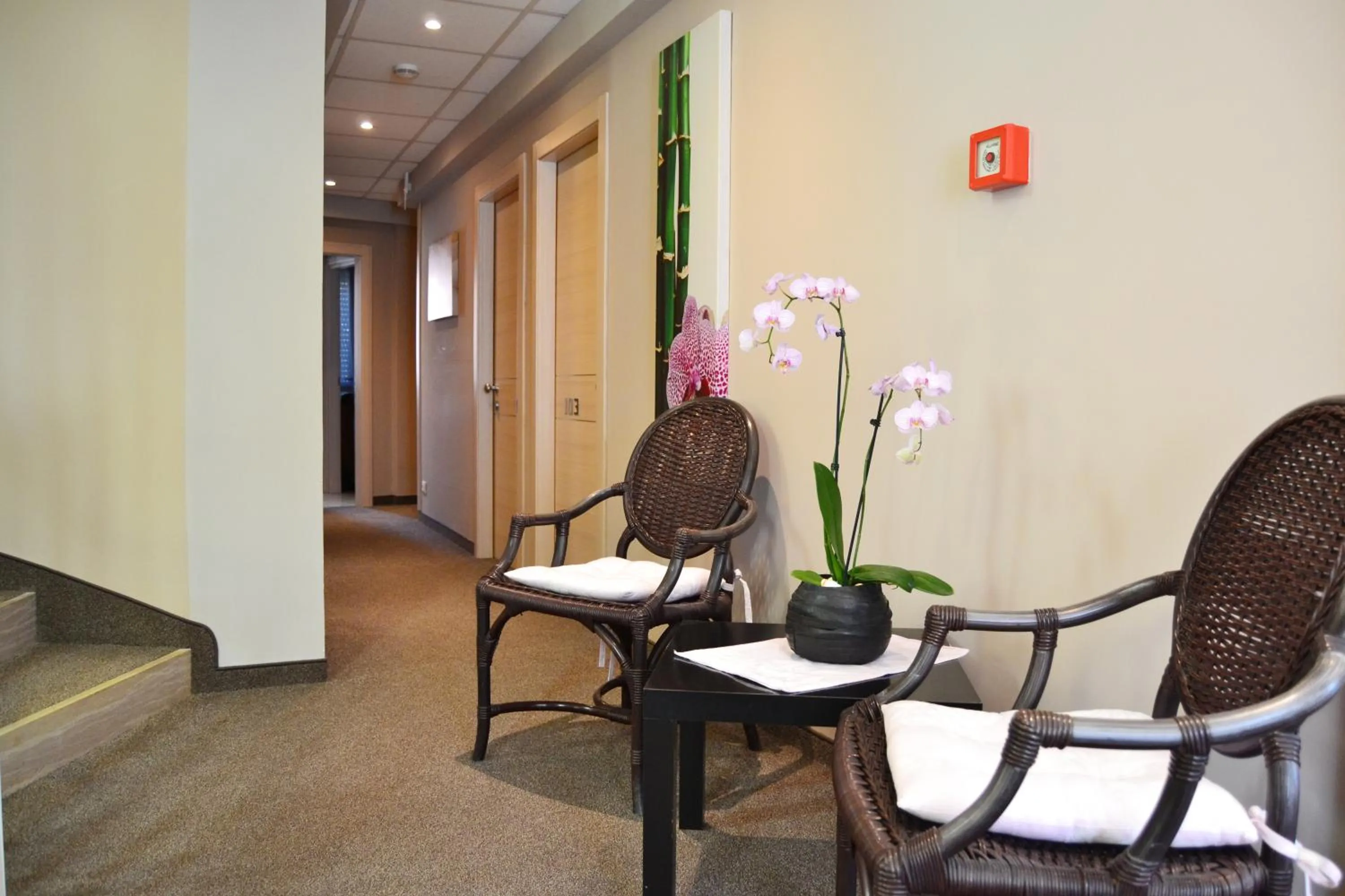 Area and facilities in Hotel My Fair