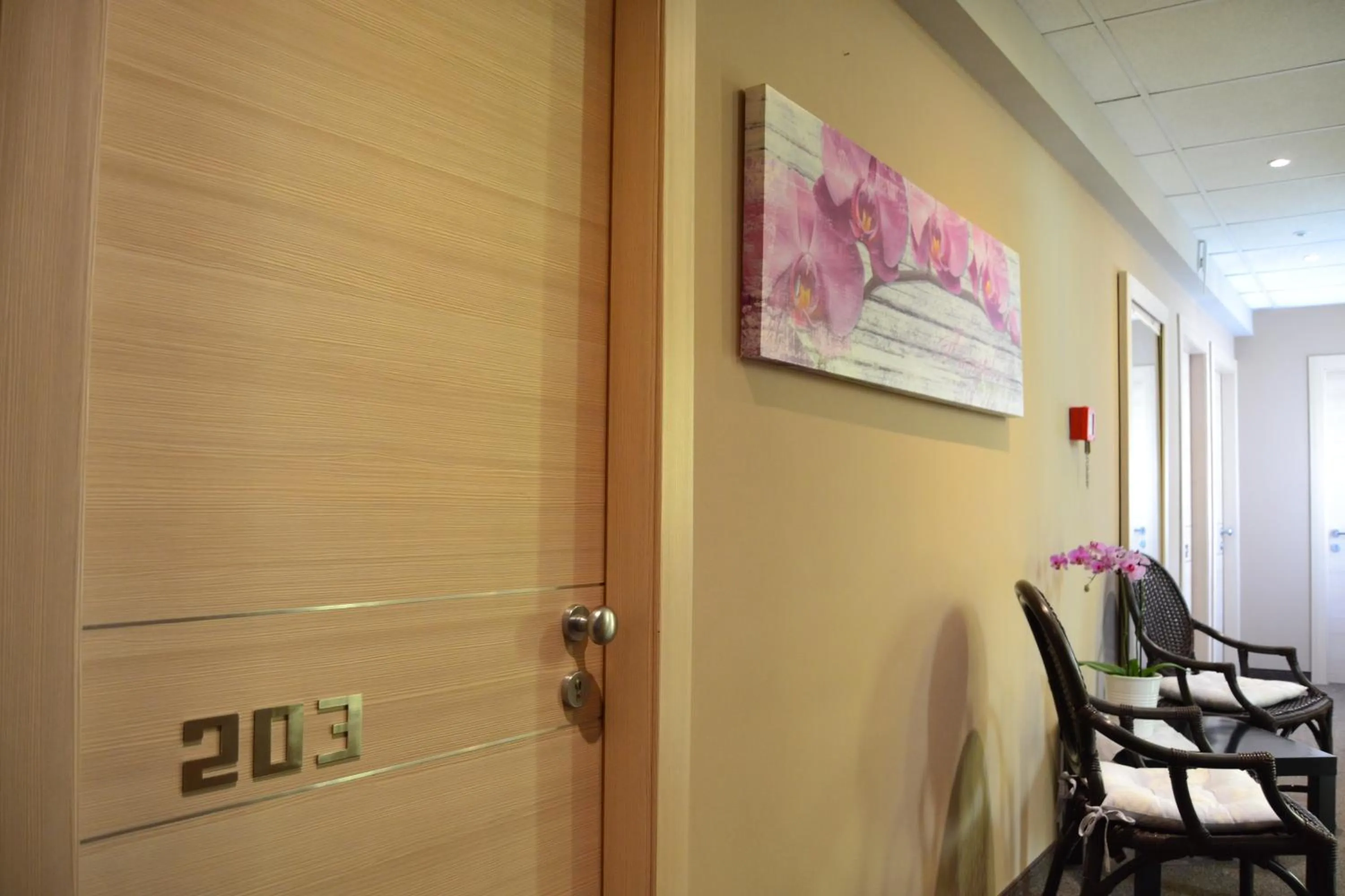 Area and facilities in Hotel My Fair