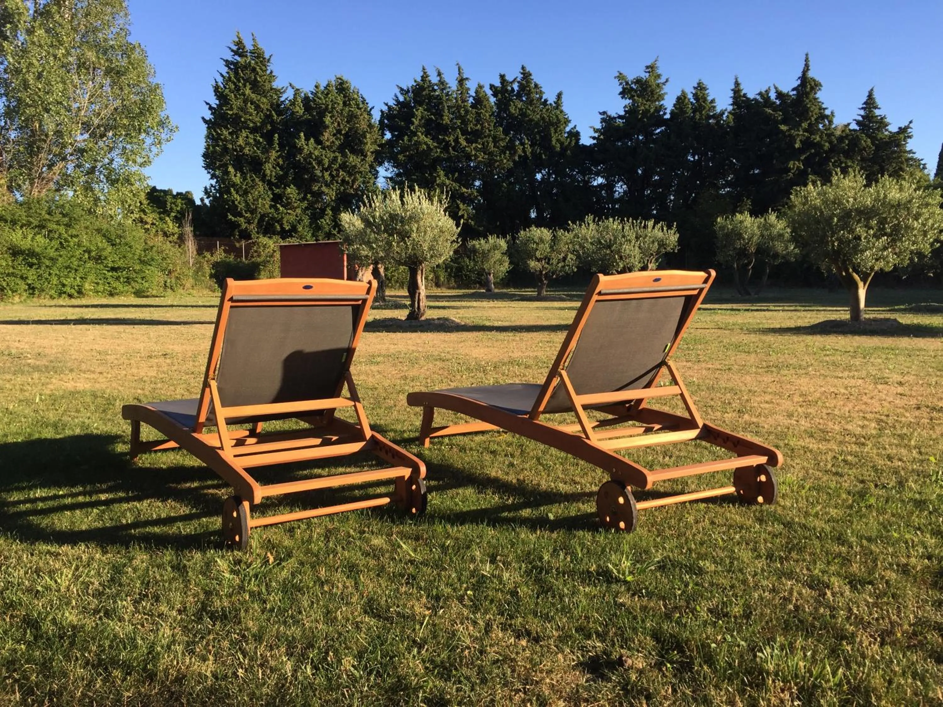 Garden in Le Mas Terre des Anges