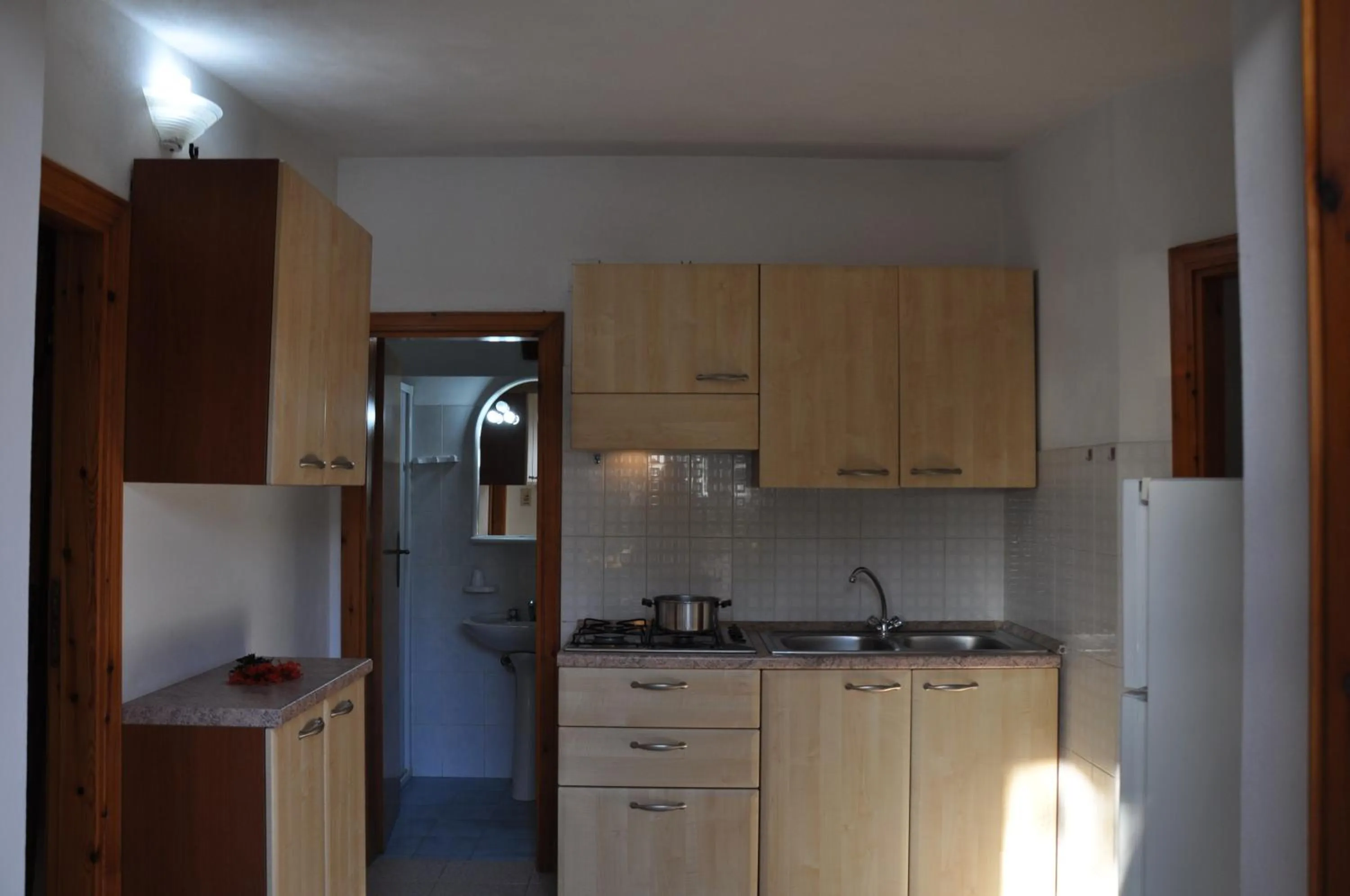 Kitchen or kitchenette in Rosy Hotel Residence
