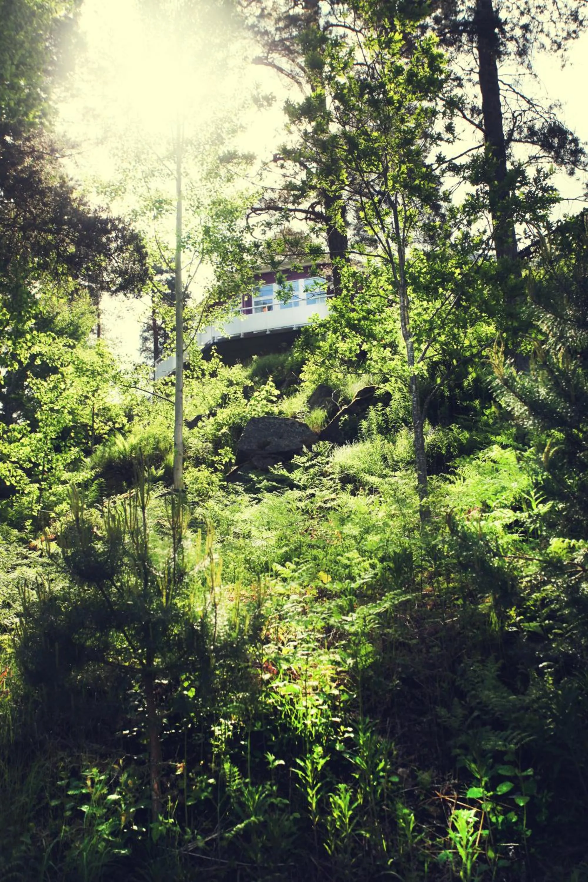 Natural landscape in Stiftsgården Vårdnäs Hotell