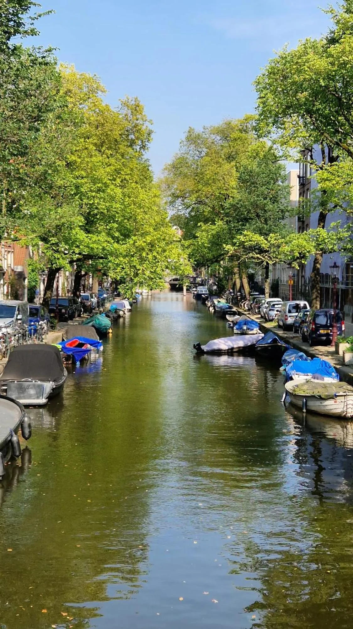 Spring in Canal House The Tannery Amsterdam
