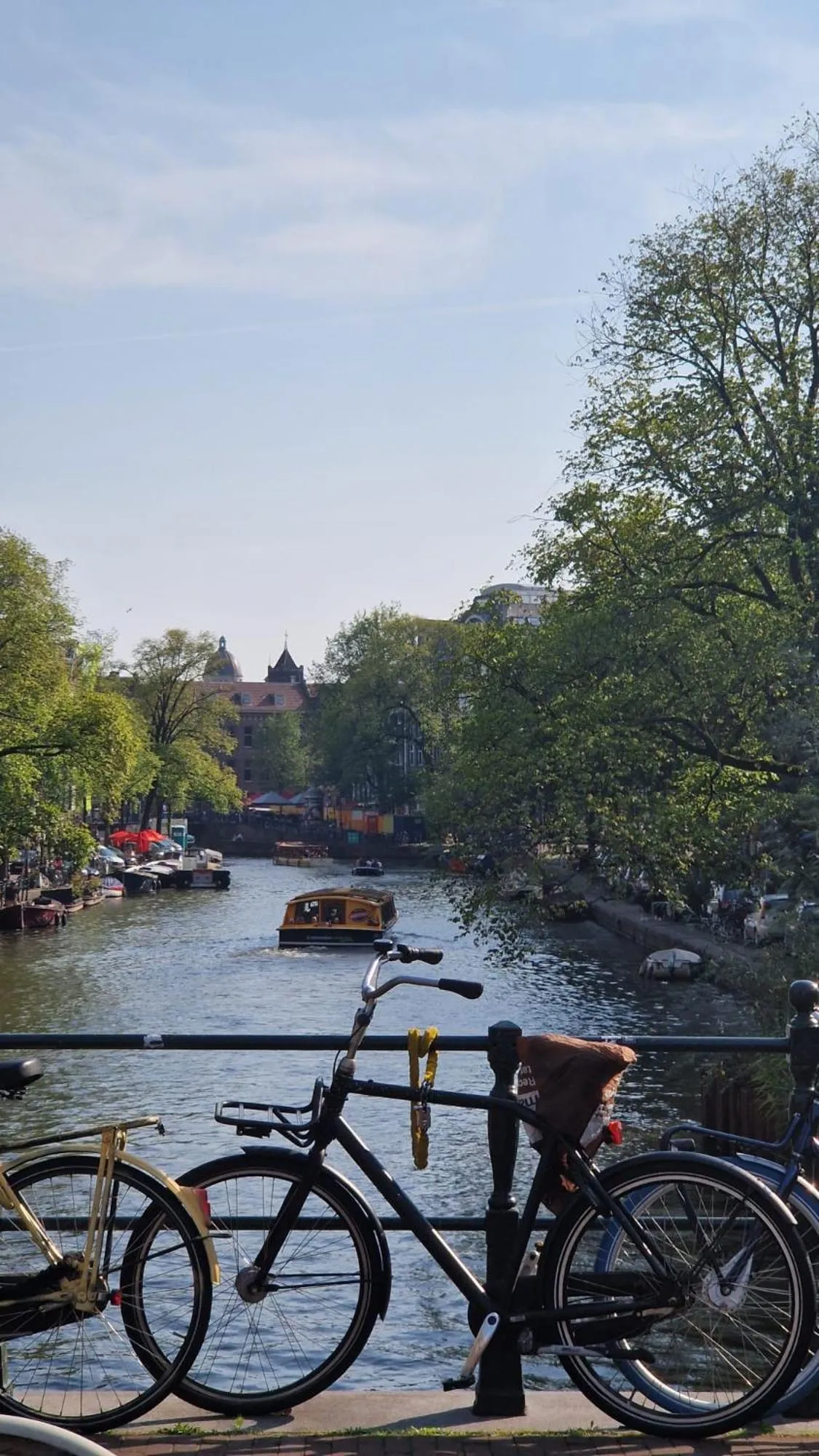 Day in Canal House The Tannery Amsterdam