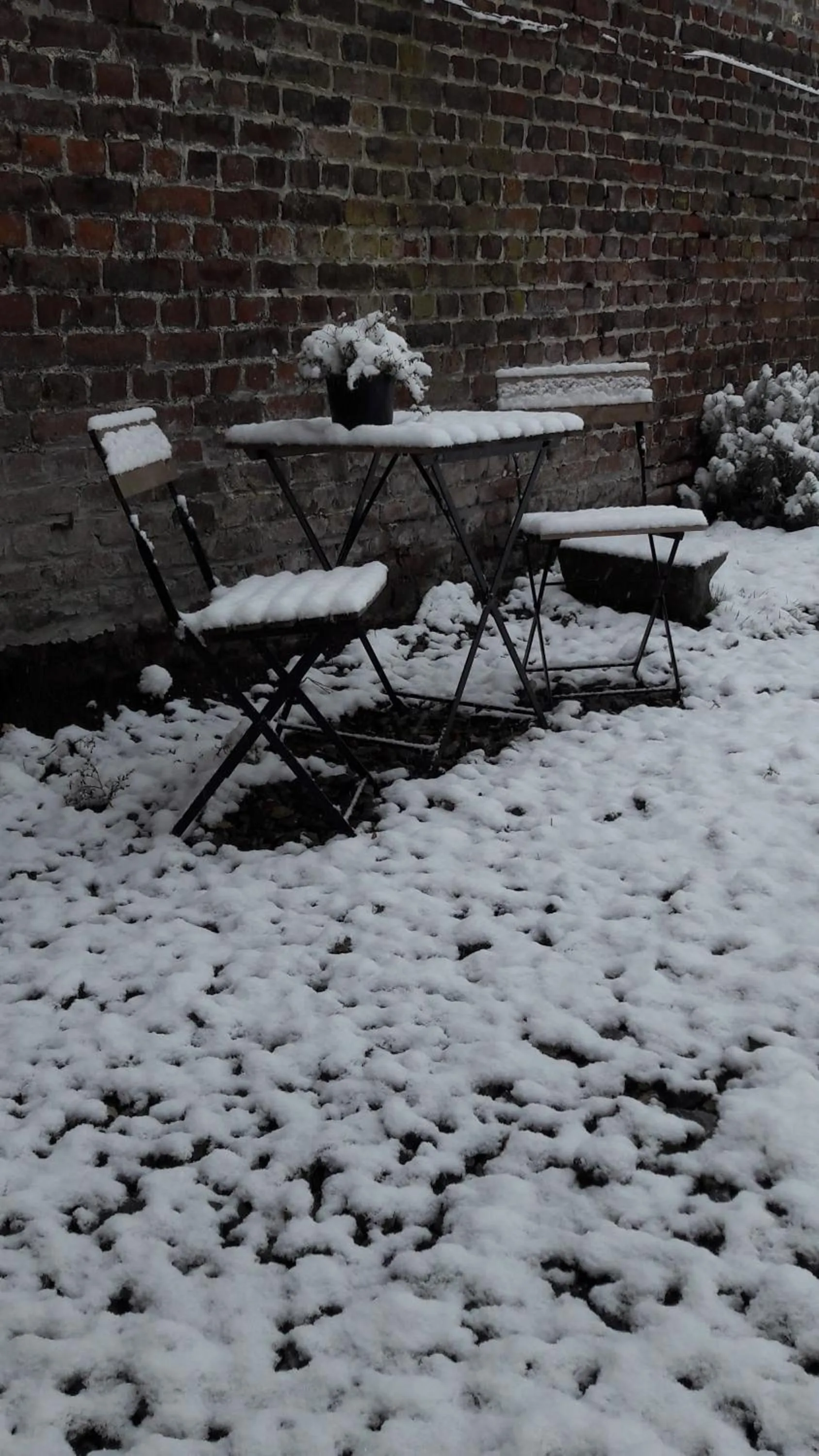 Garden in Office des bons enfants