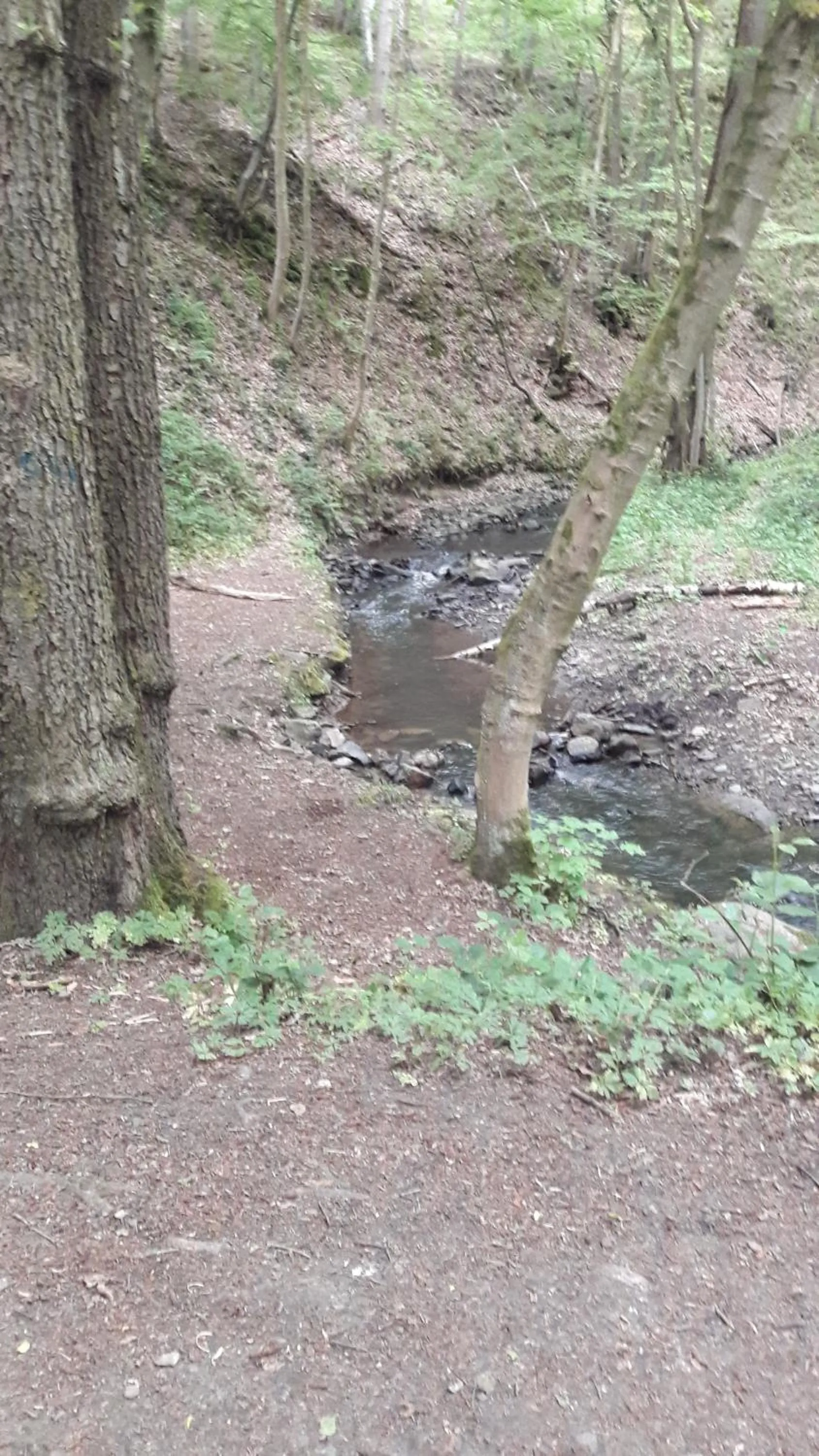 Hiking in Office des bons enfants