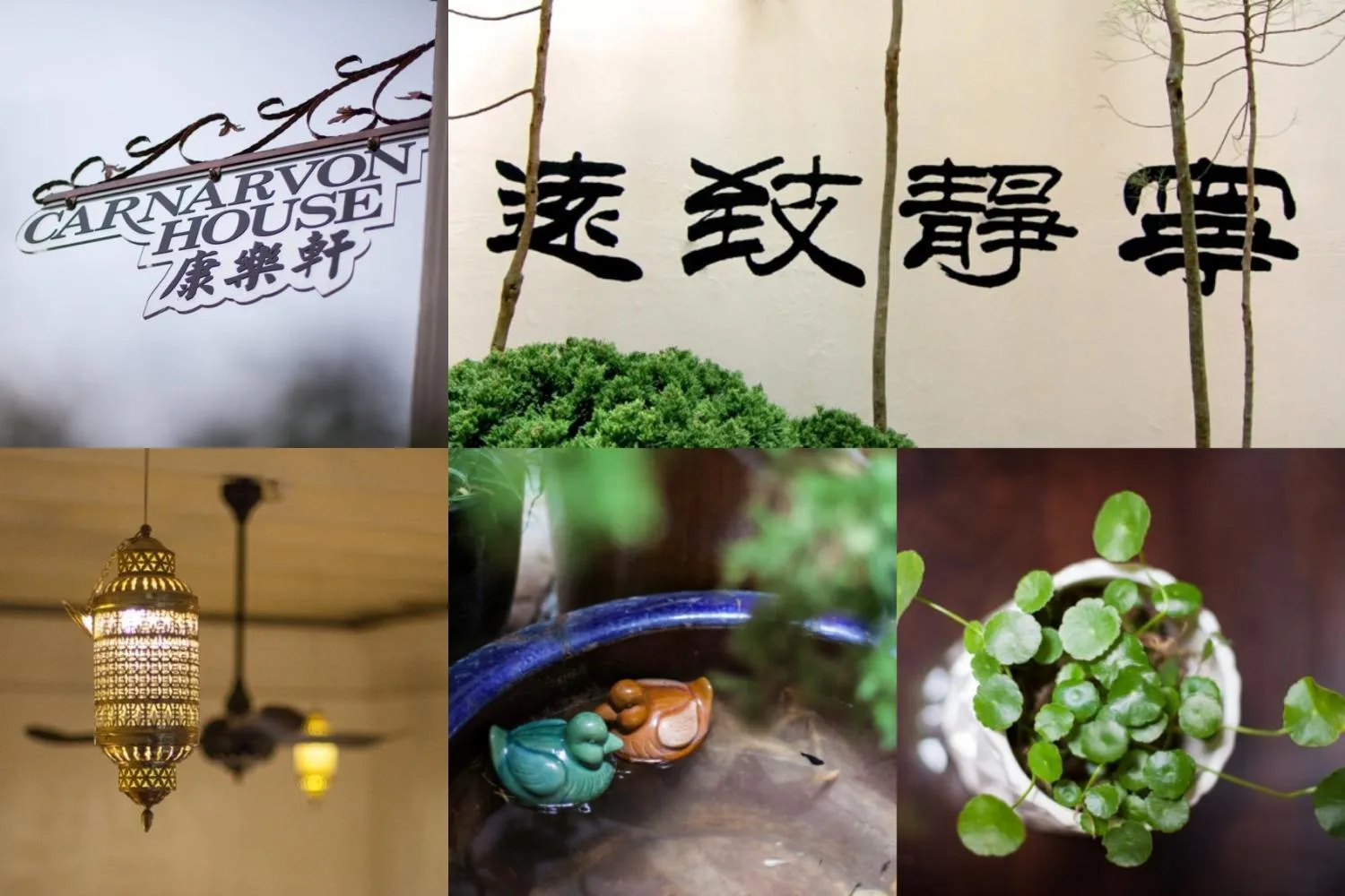 Decorative detail in Carnarvon House