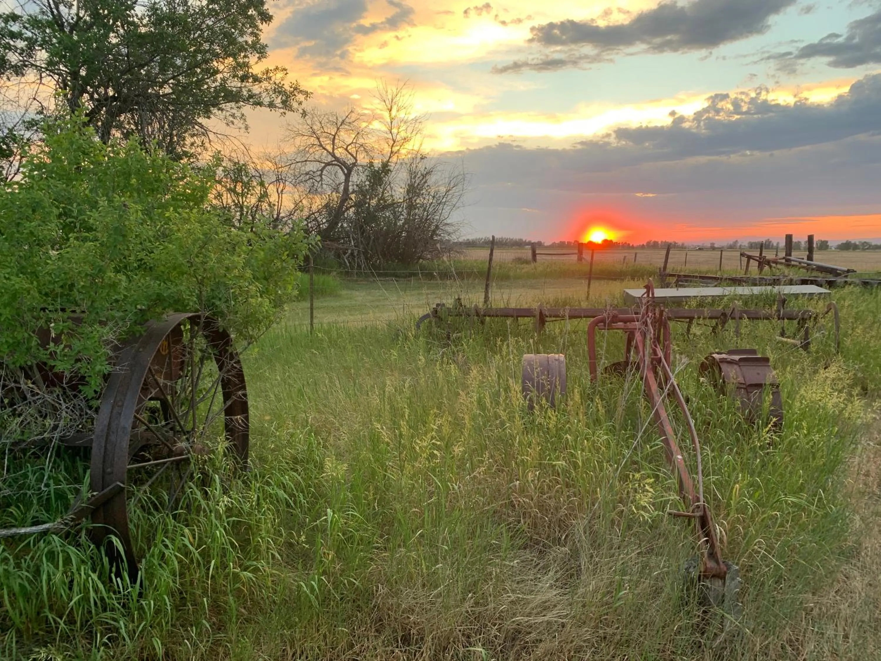 Garden in Fox Hollow Inn