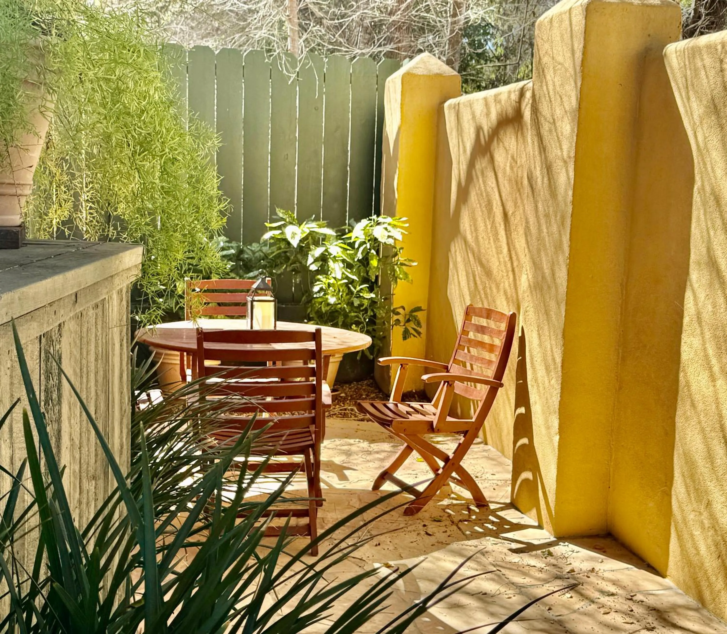 Patio in Blue Iguana Inn