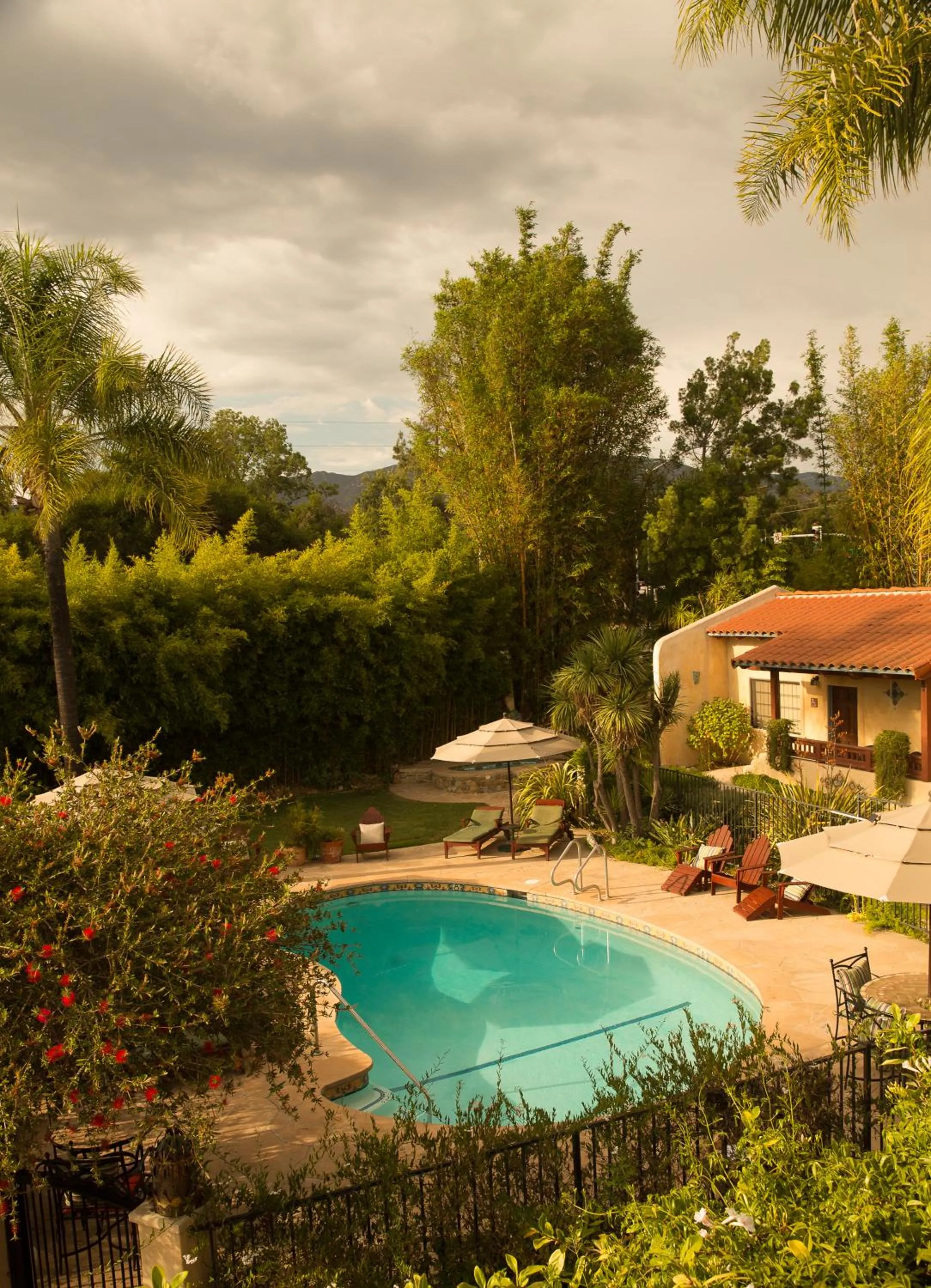 Swimming pool in Blue Iguana Inn