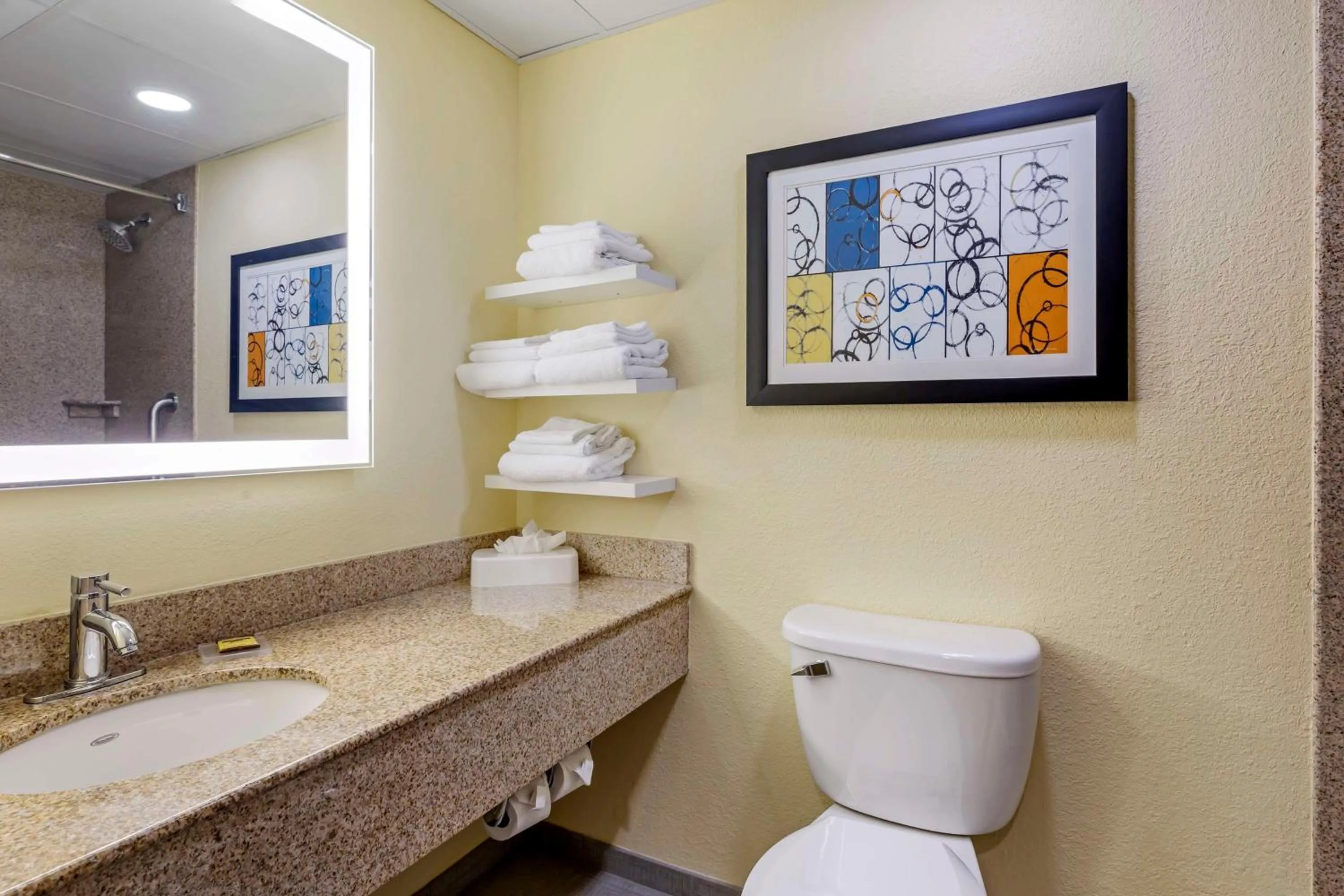 Bathroom in Best Western Plus North Shore Hotel