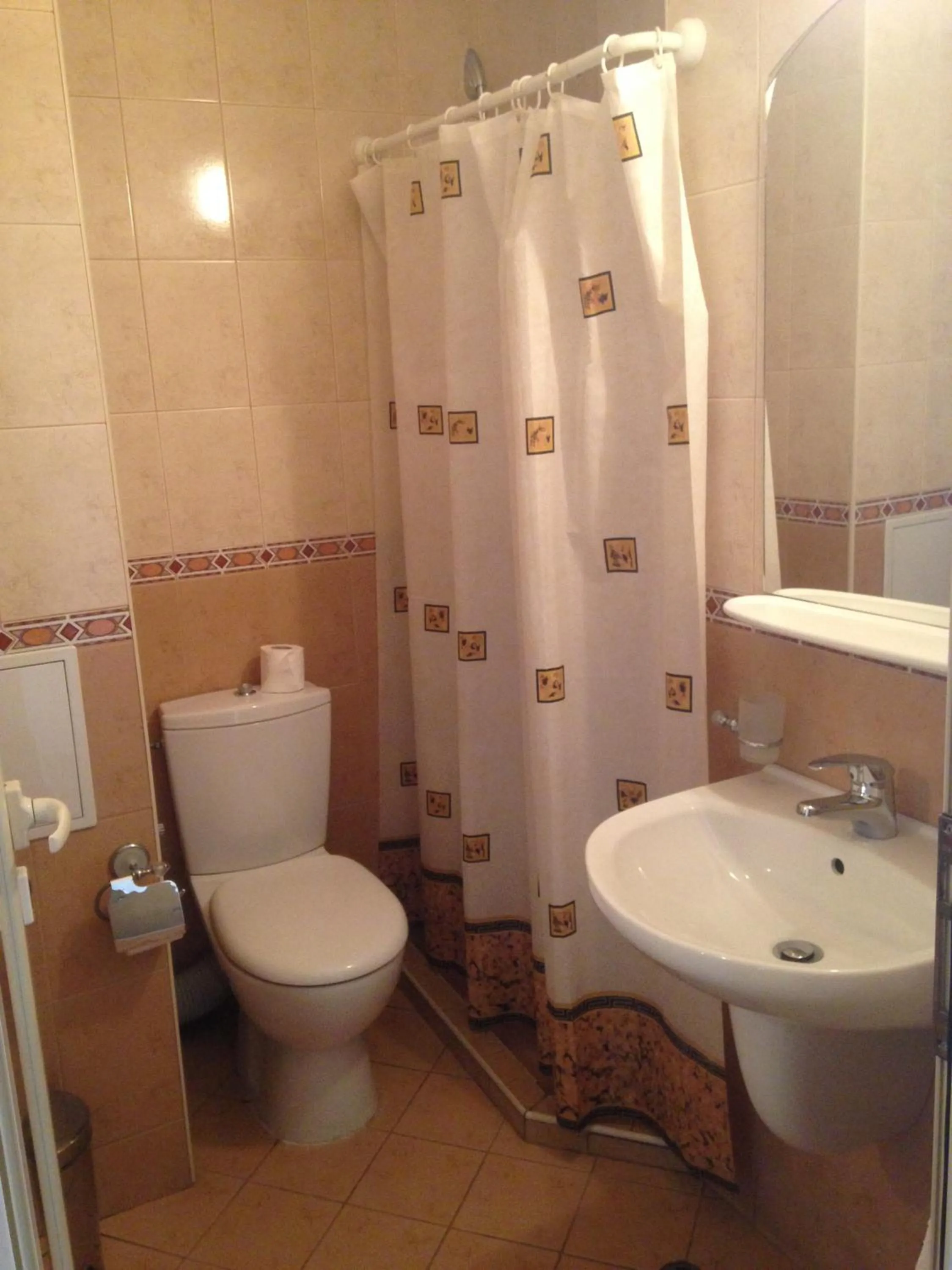 Toilet in Hotel Atol