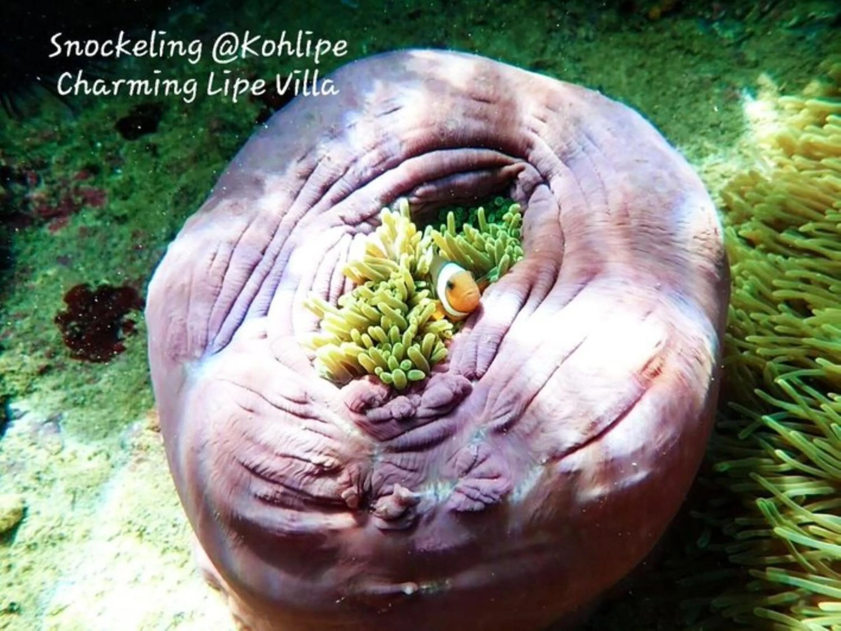 Activities in Charming Lipe Beach Resort