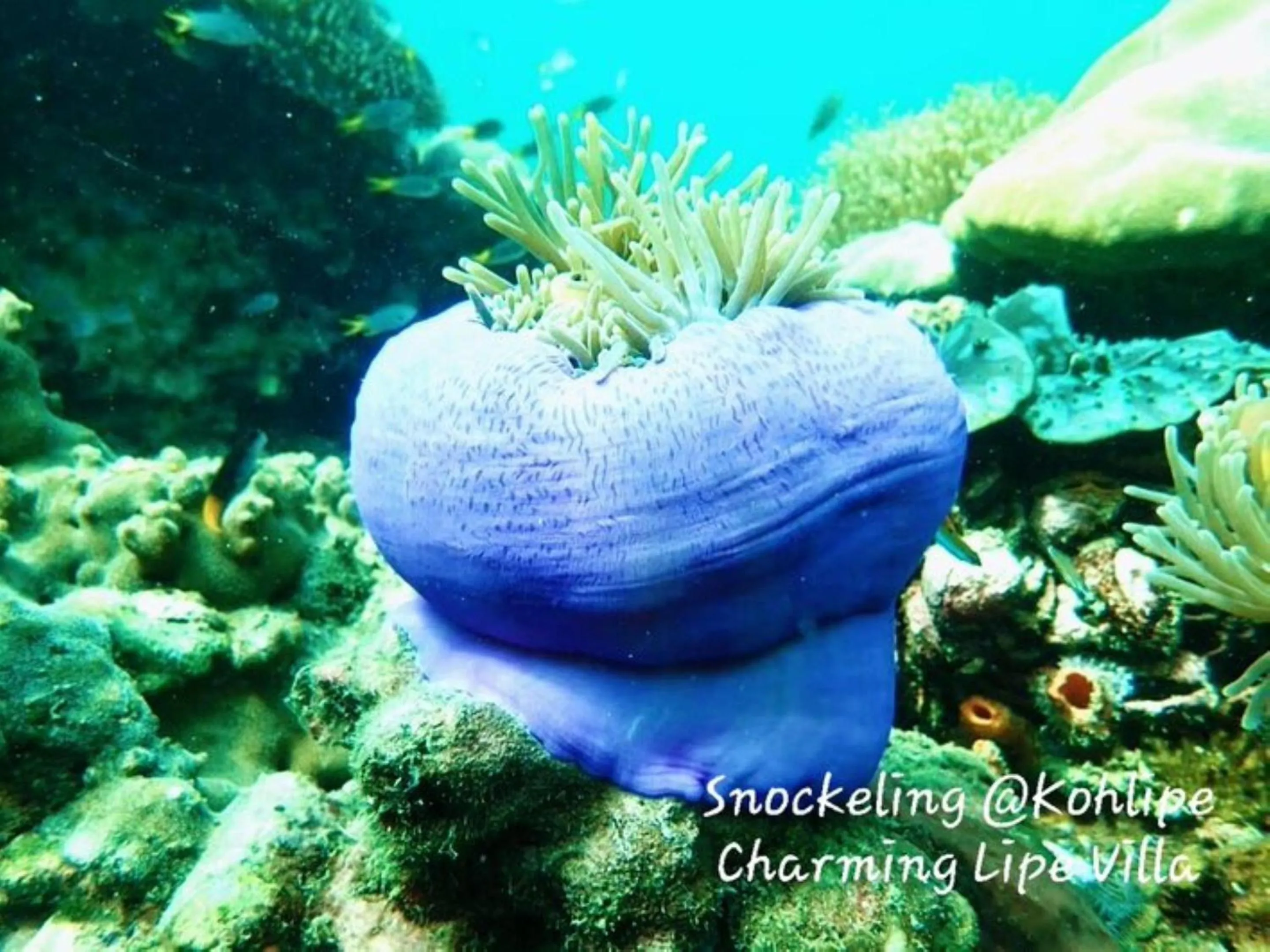 Activities in Charming Lipe Beach Resort