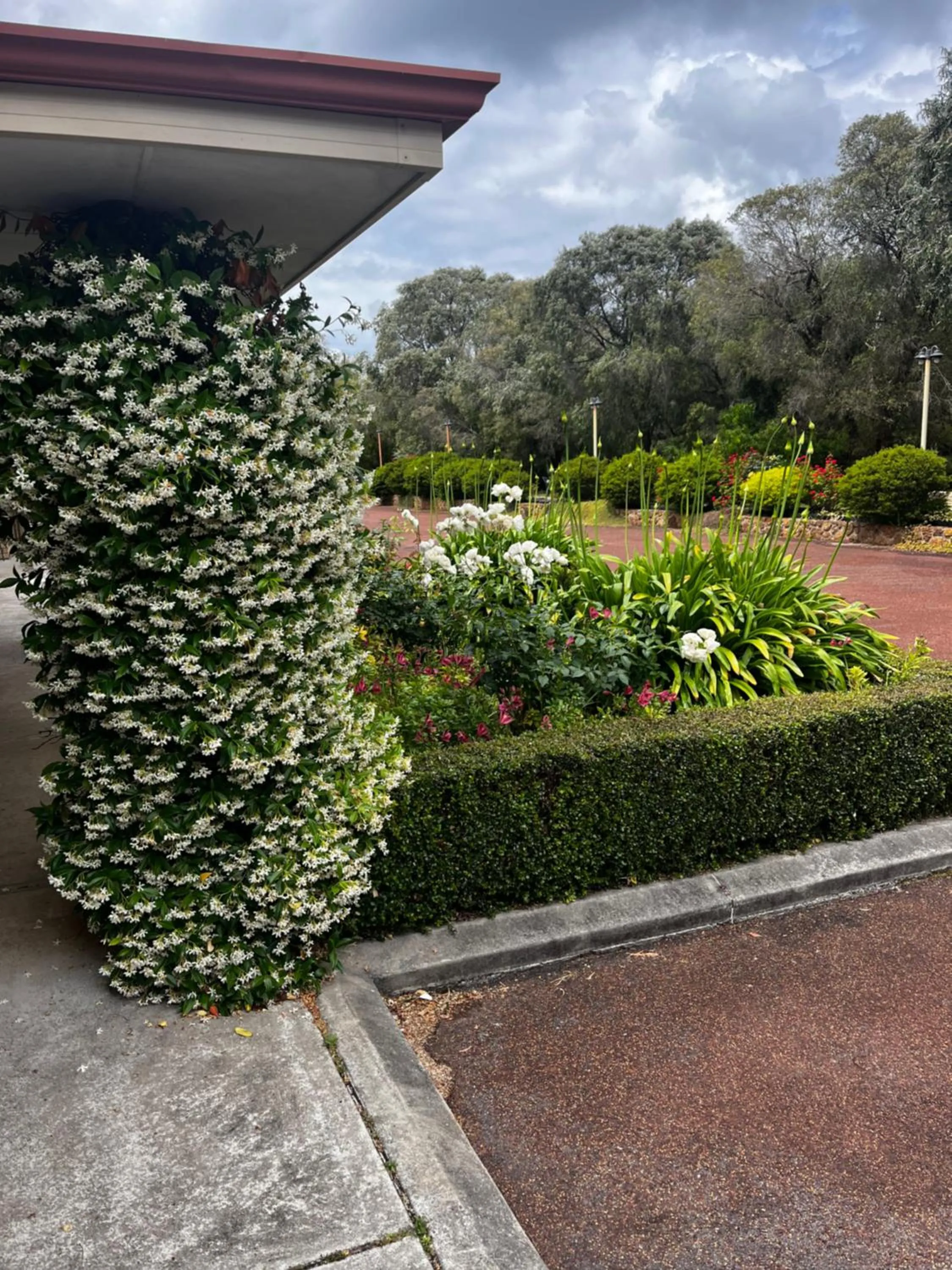 Garden in Emu Point Motel
