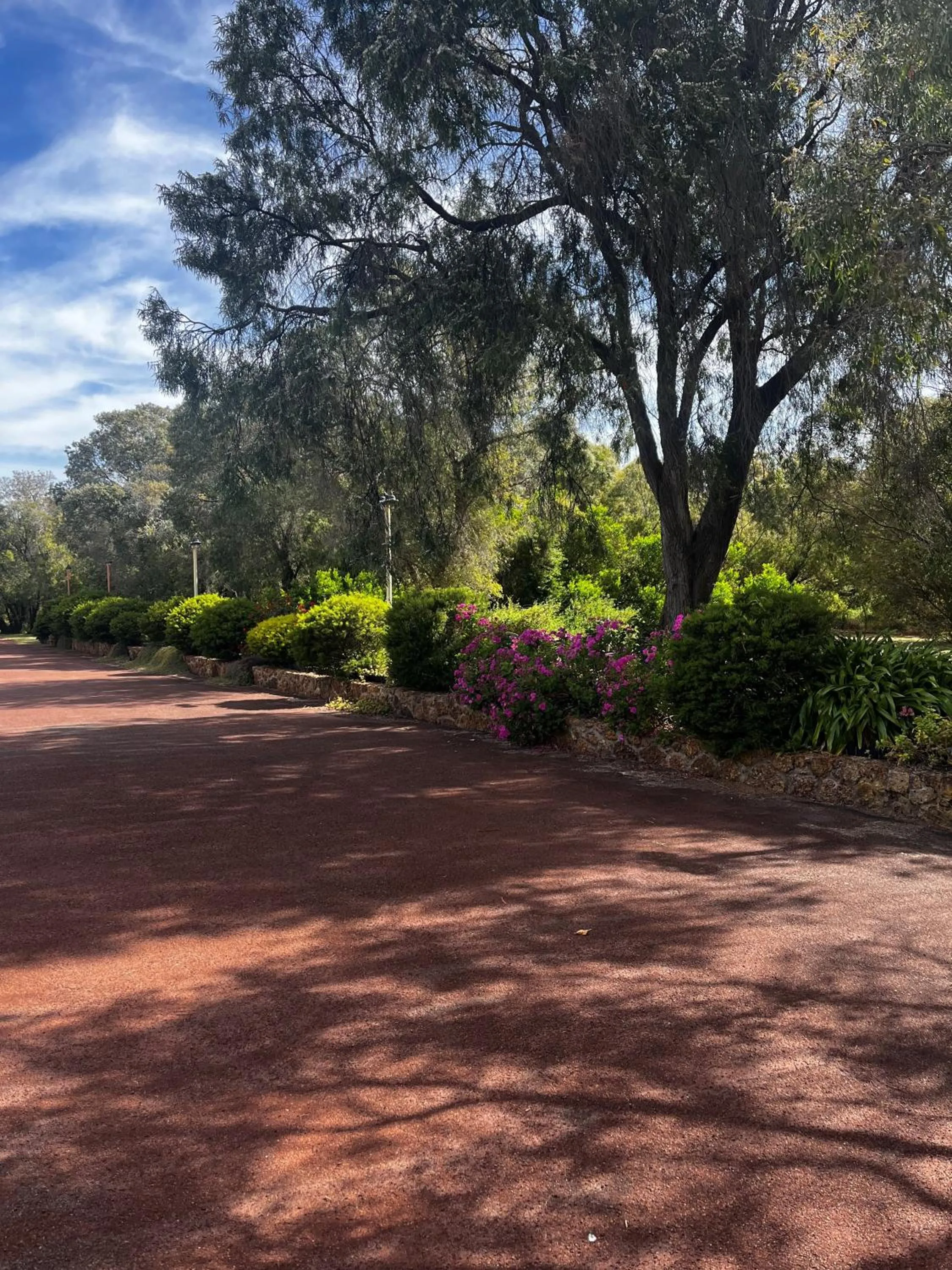 Garden in Emu Point Motel