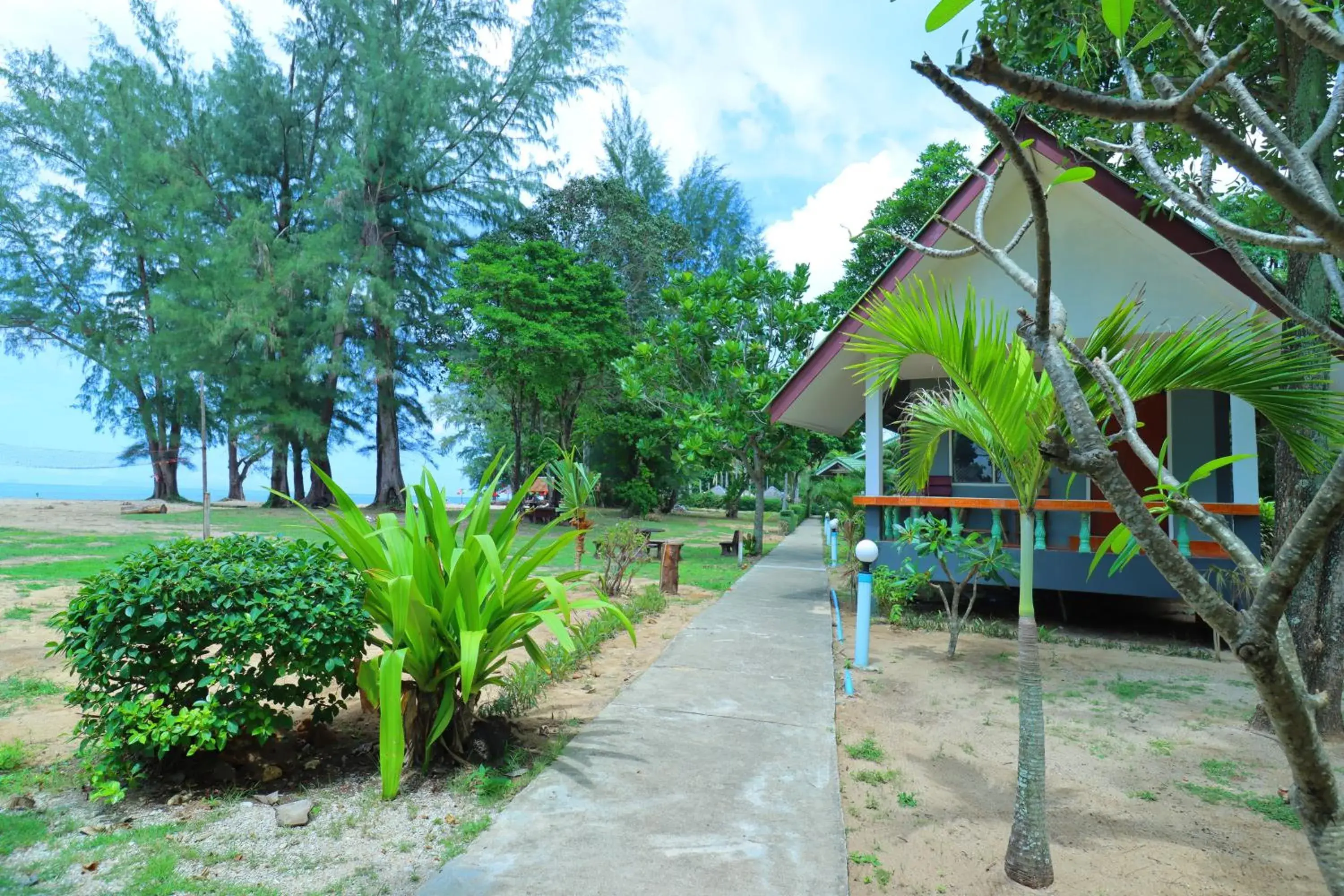Standard Double or Twin Room in Lanta Palm Beach Resort , Beach Bungalow - Koh Lanta Standard Double or Twin Room in Lanta Palm Beach Resort , Beach Bungalow - Koh Lanta