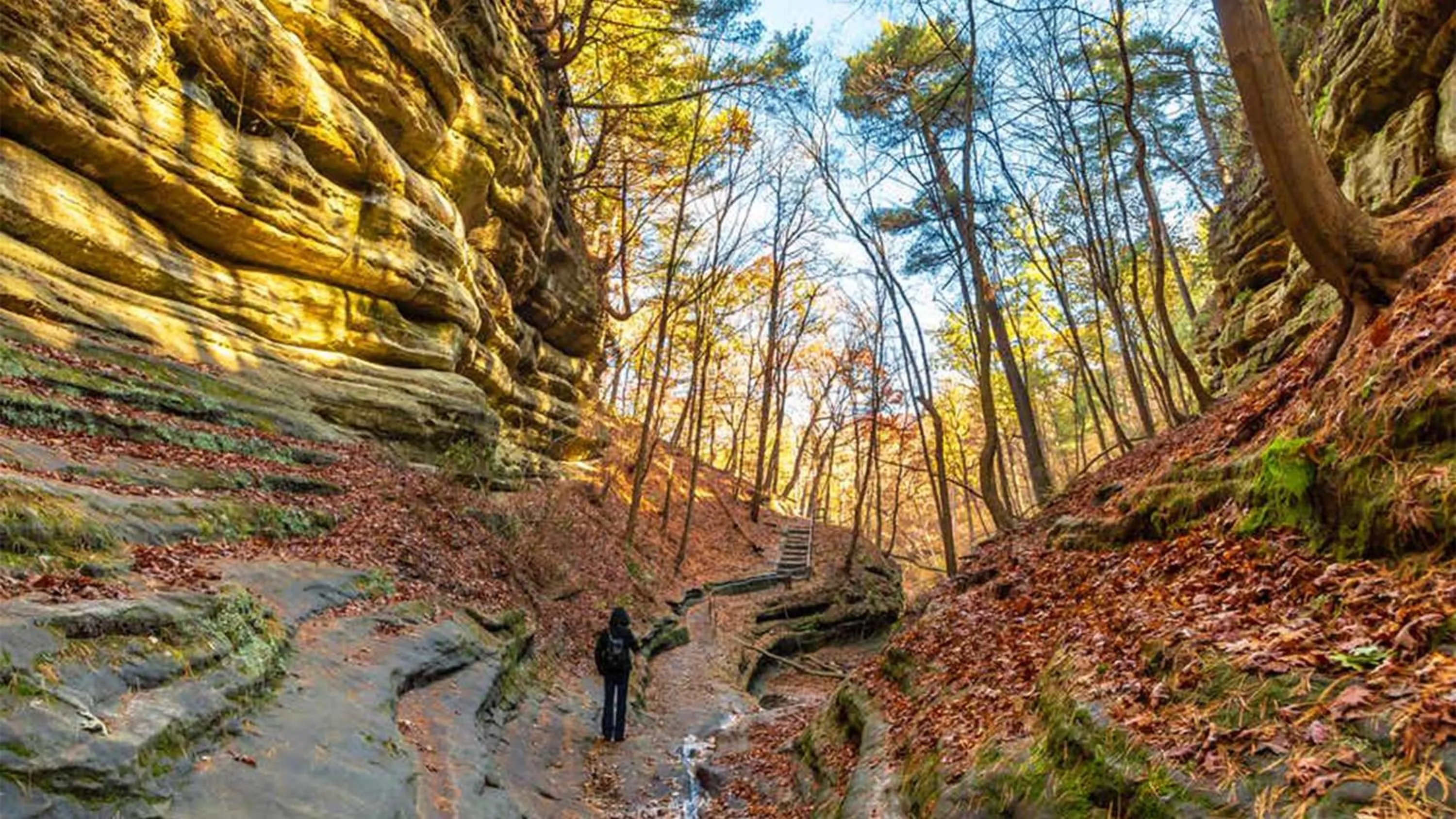 Nearby landmark in Holiday Inn Club Vacations Fox River Resort at Sheridan