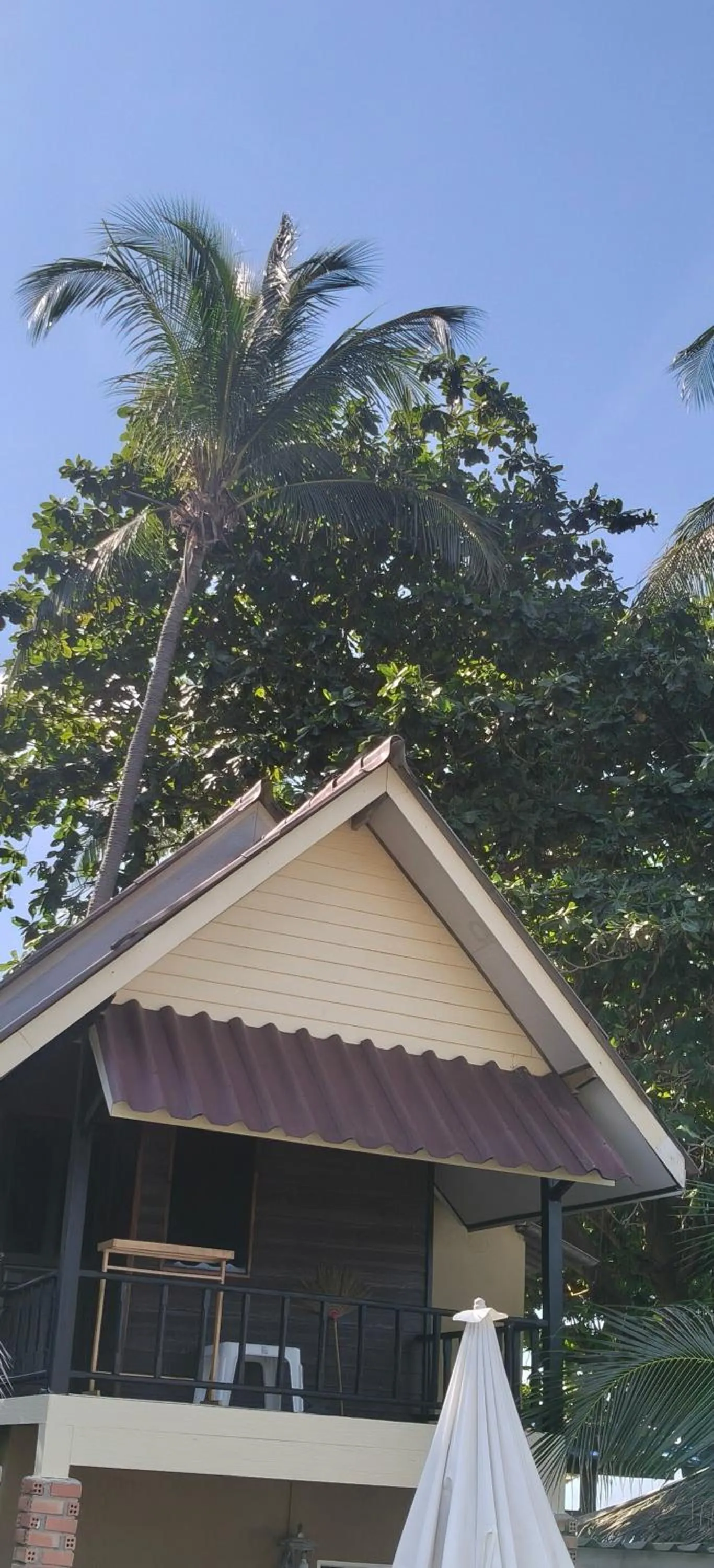 Sea Shell Beach Resort