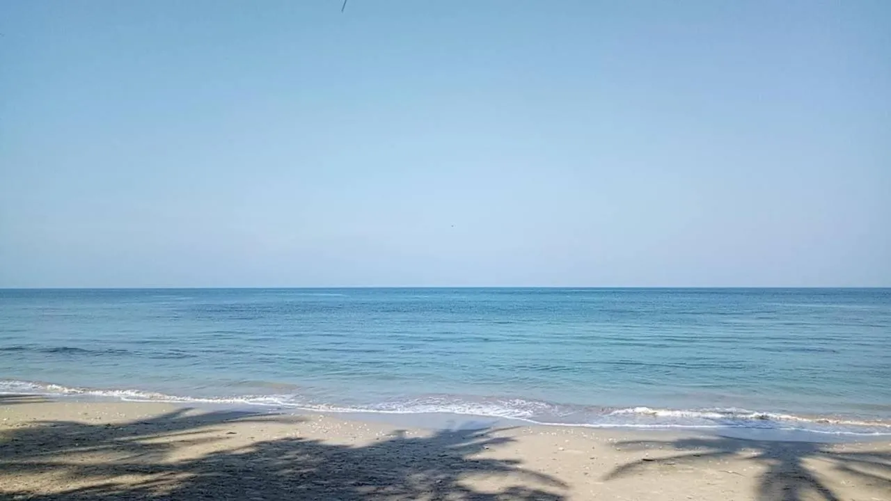 Beach in Sea Shell Beach Resort