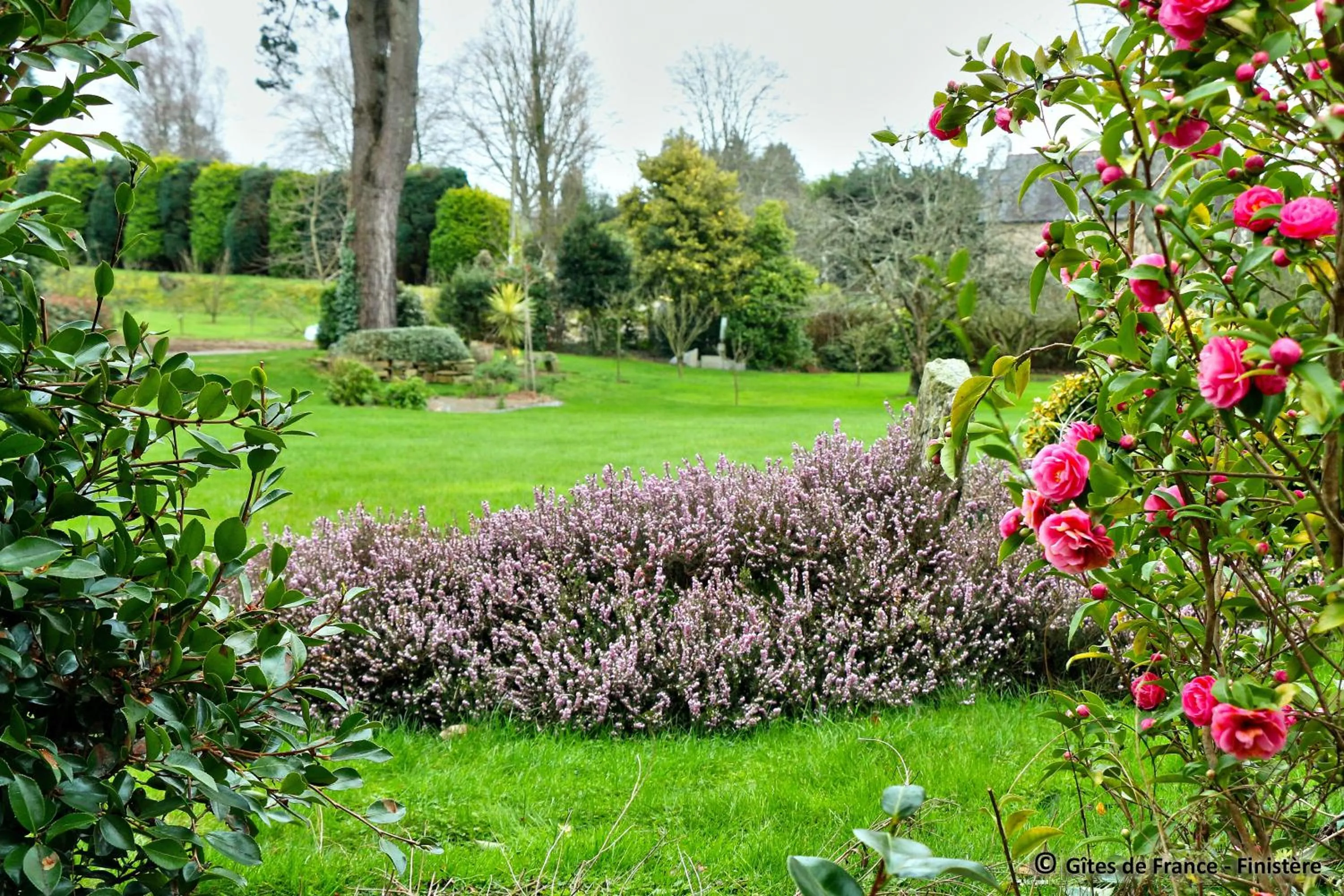 Chambre d'Hôtes de Suzette