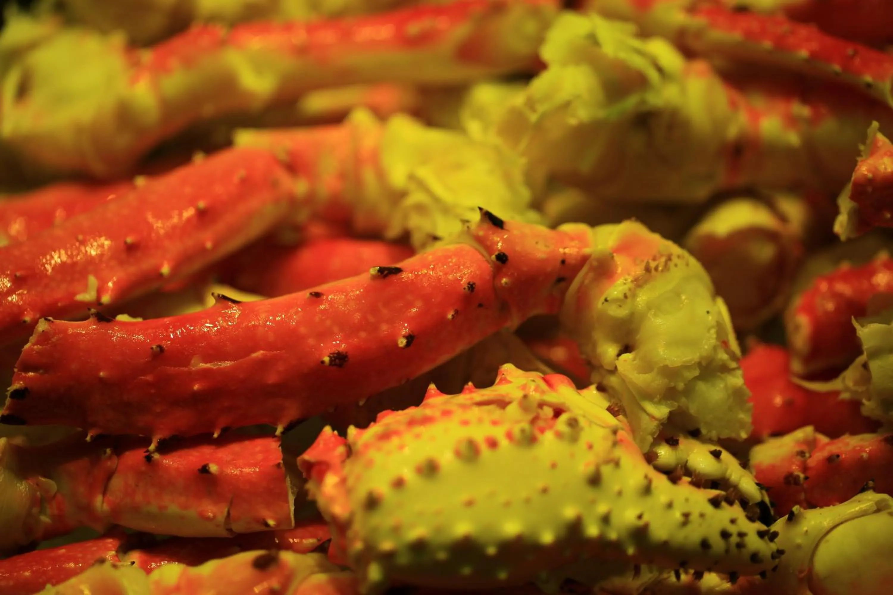 Food in Zhuhai Charming Holiday Hotel