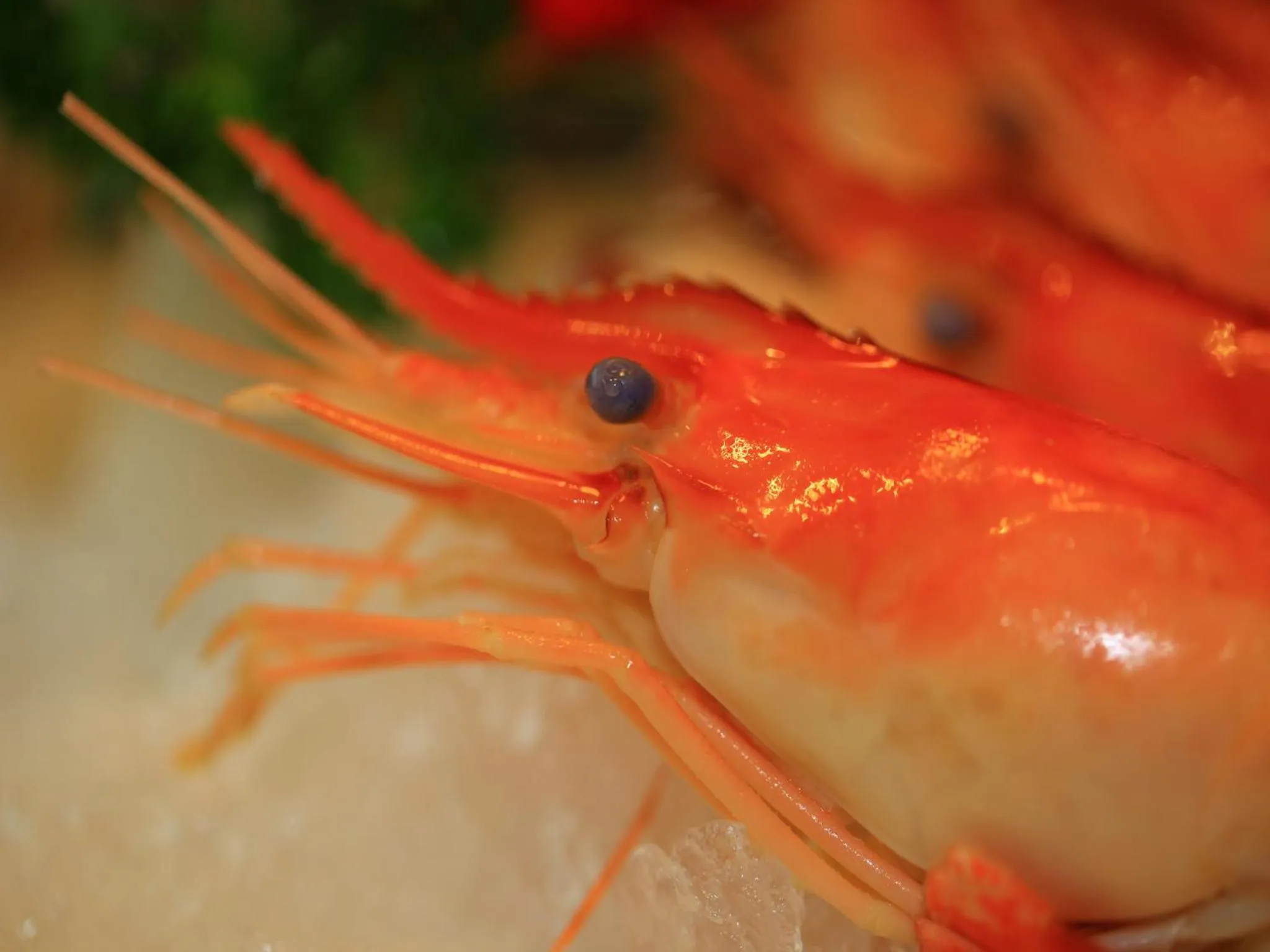 Food and drinks in Zhuhai Charming Holiday Hotel