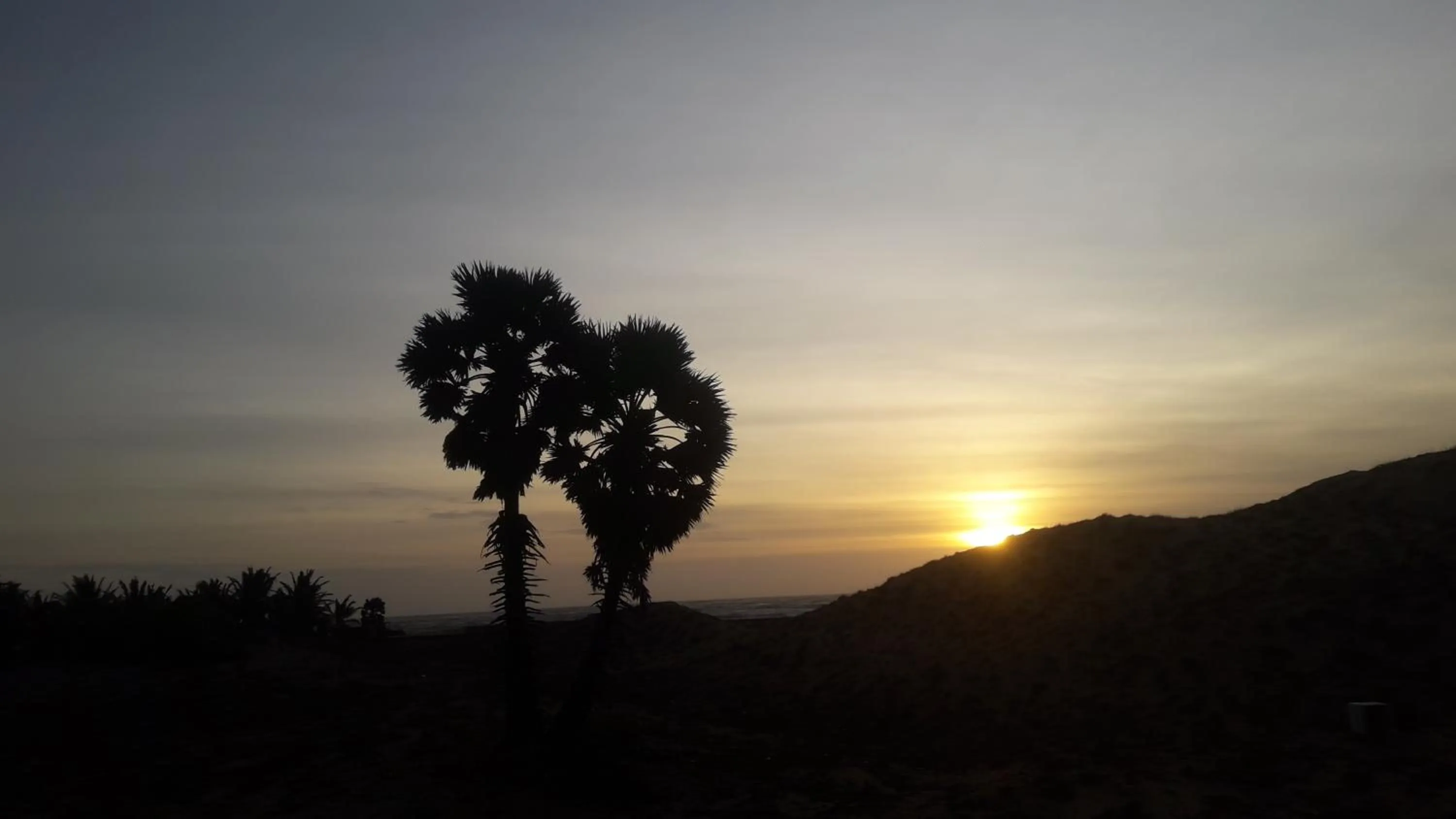 Natural landscape in Majestic Beach Retreat